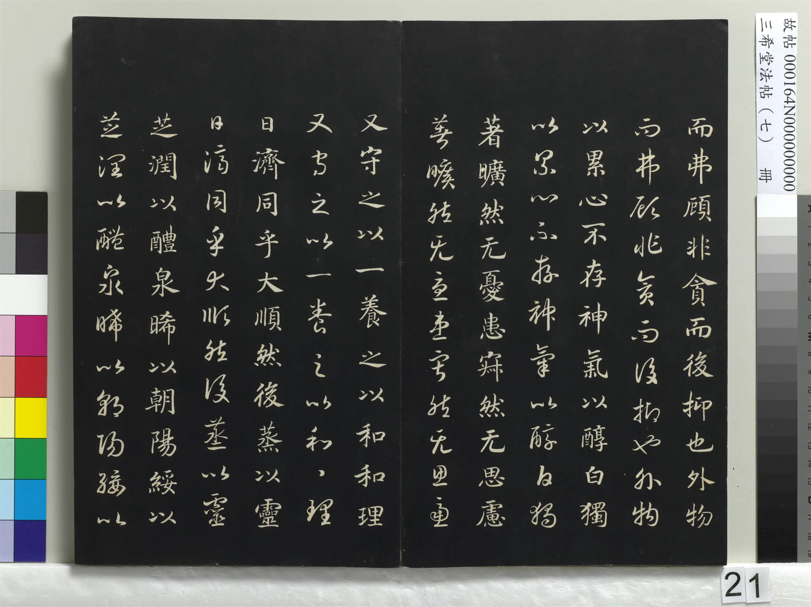 南宋【赵构-宋高宗】《三希堂法帖(七)册-宋高宗真草书嵇康养生论-1》 第11张 南宋【赵构-宋高宗】《三希堂法帖(七)册-宋高宗真草书嵇康养生论-1》 第11张