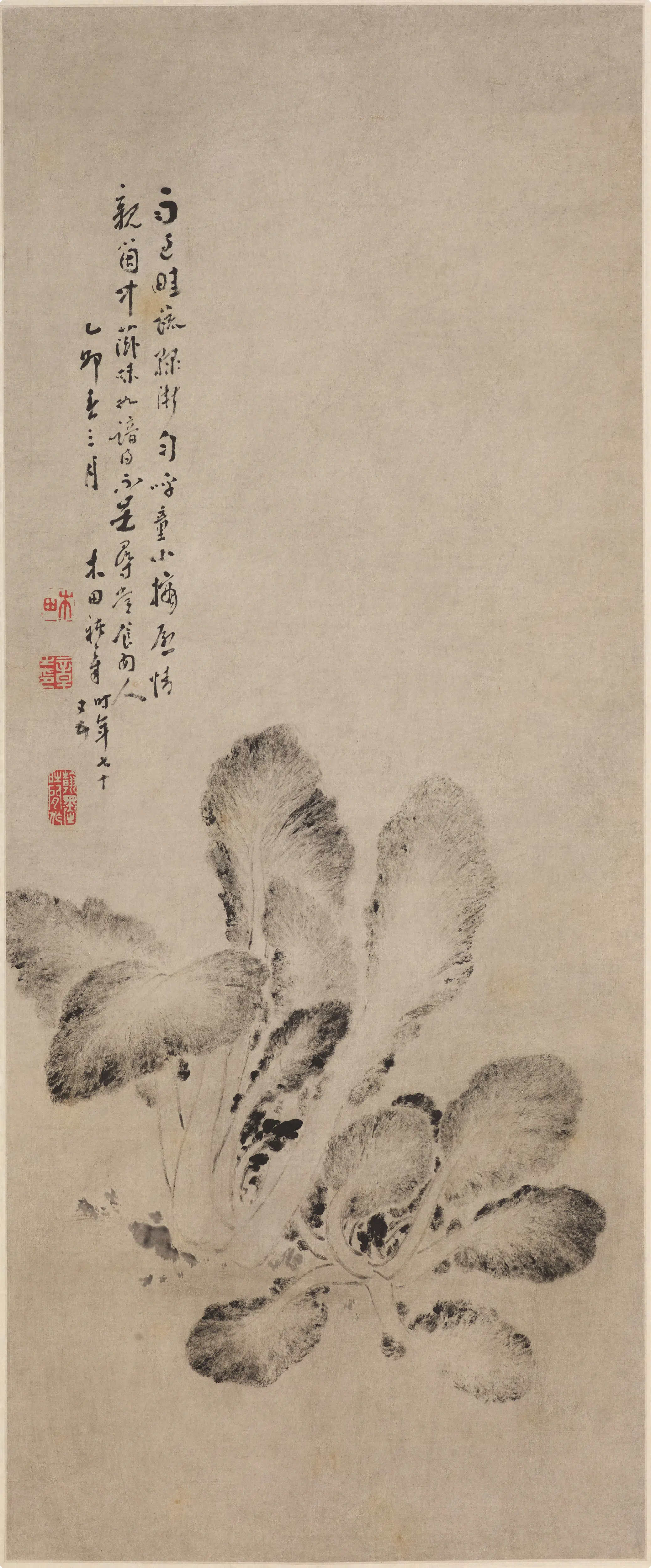清代【禇章】《墨菜图轴》