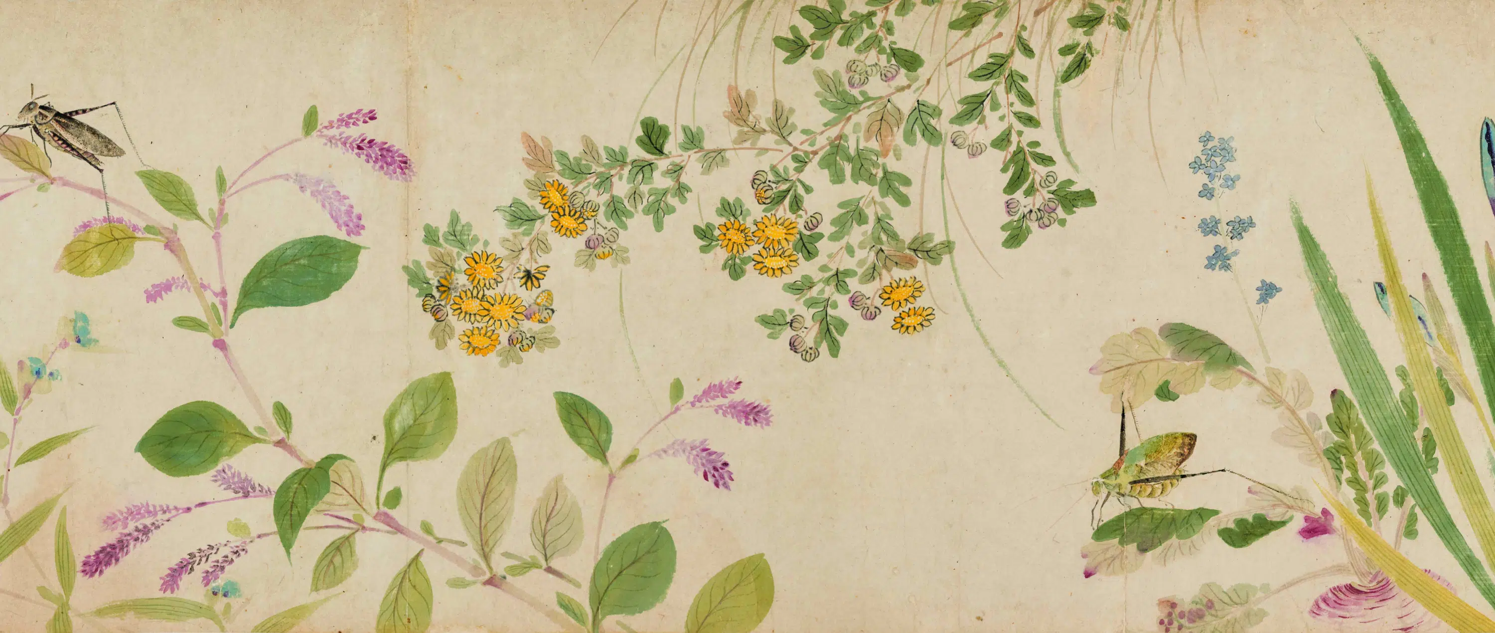 明朝【陆治】《花蝶草虫卷》 第2张 明朝【陆治】《花蝶草虫卷》 第2张