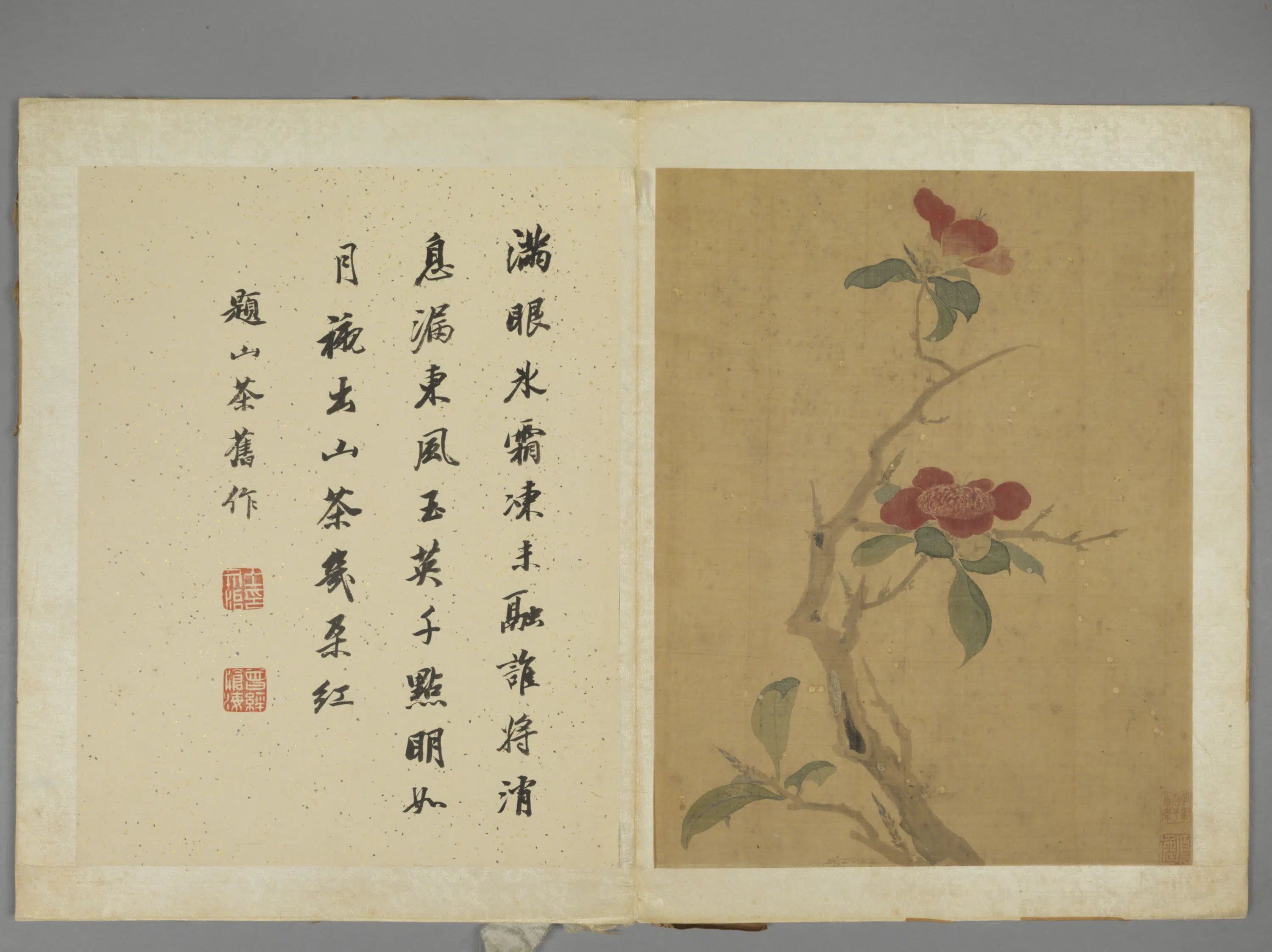 明朝【项圣谟】《花卉册（7开）》 第1张