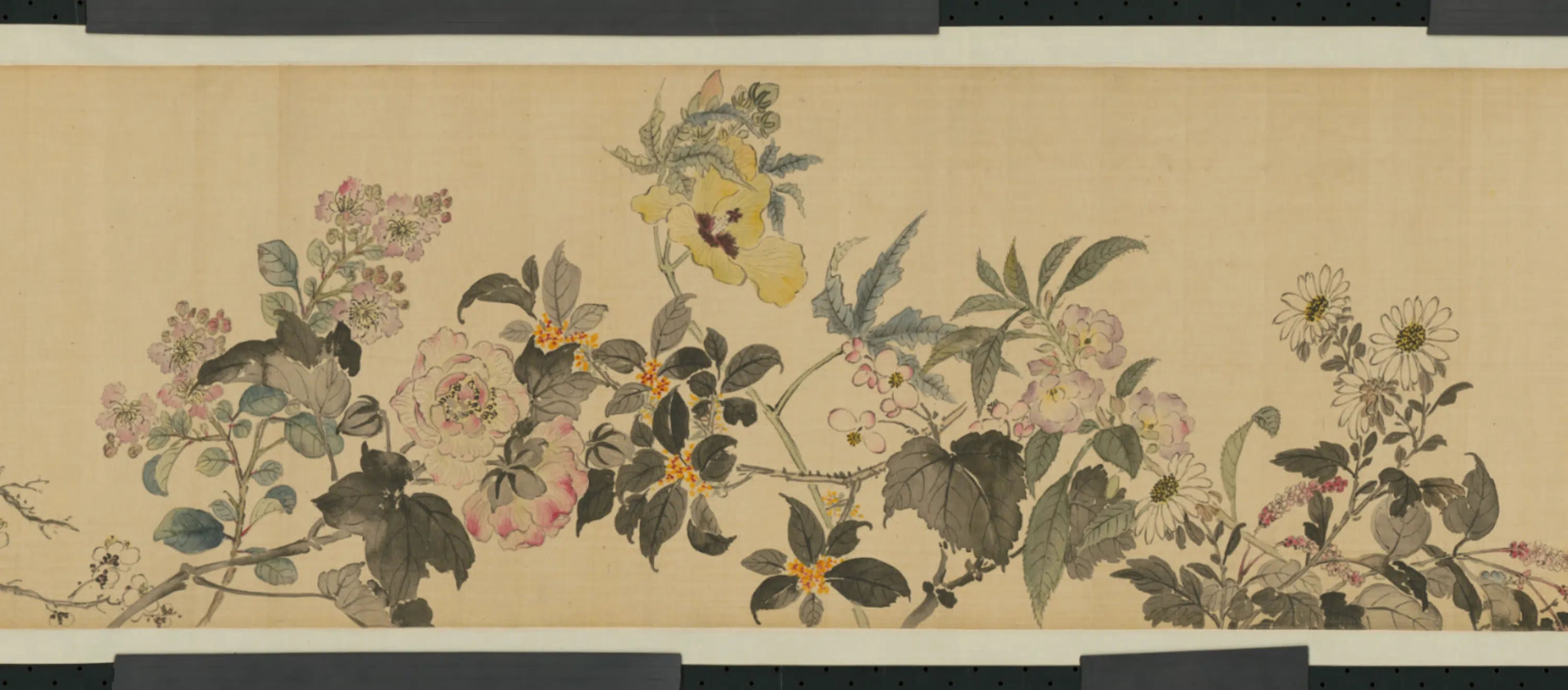 清代【蒋廷锡】《花卉图卷》 第3张