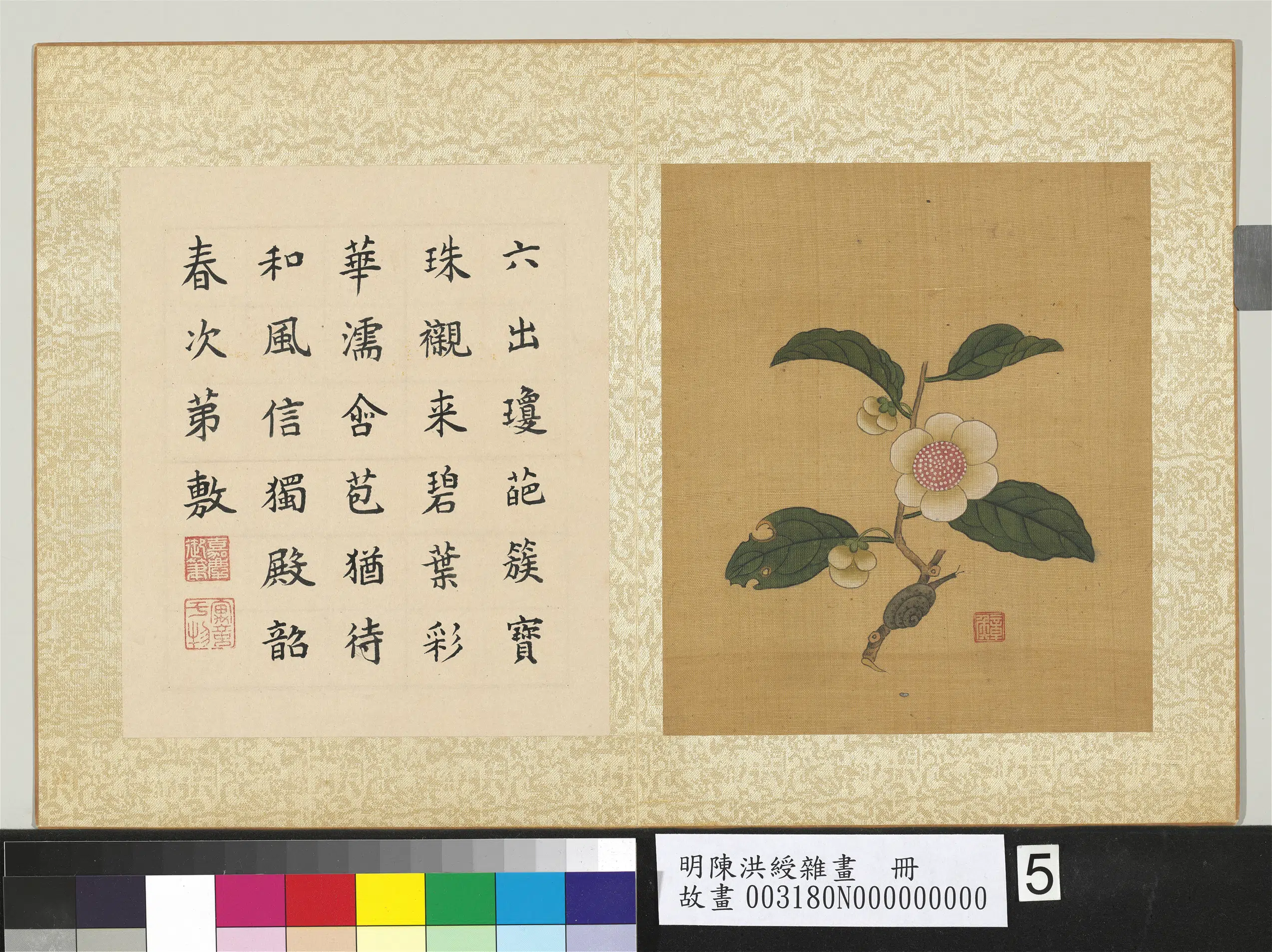明朝【陈洪绶】《杂画册-山茶》