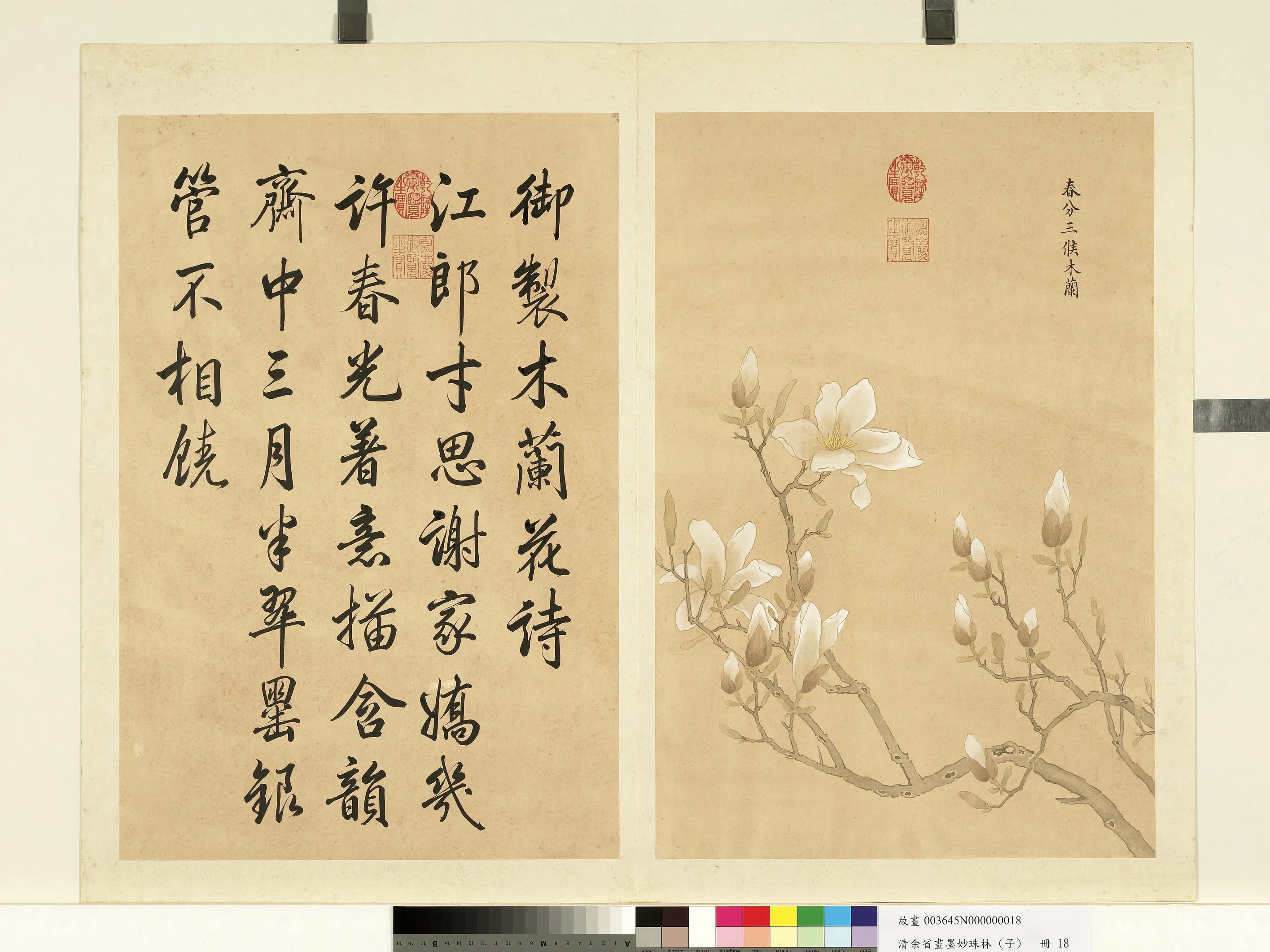 清代【余省】《画墨妙珠林（子）册-春分三候木兰》