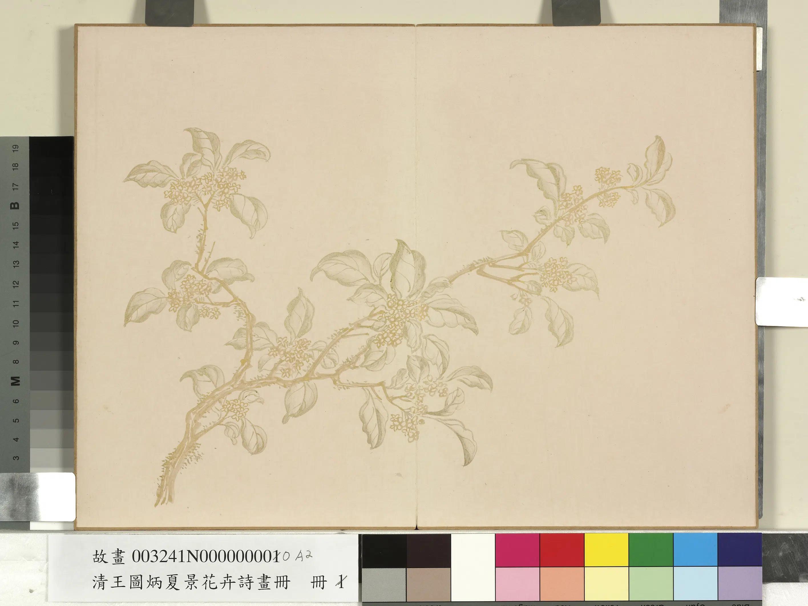 清代【王图炳】《夏景花卉诗画册》 第2张 清代【王图炳】《夏景花卉诗画册》 第2张