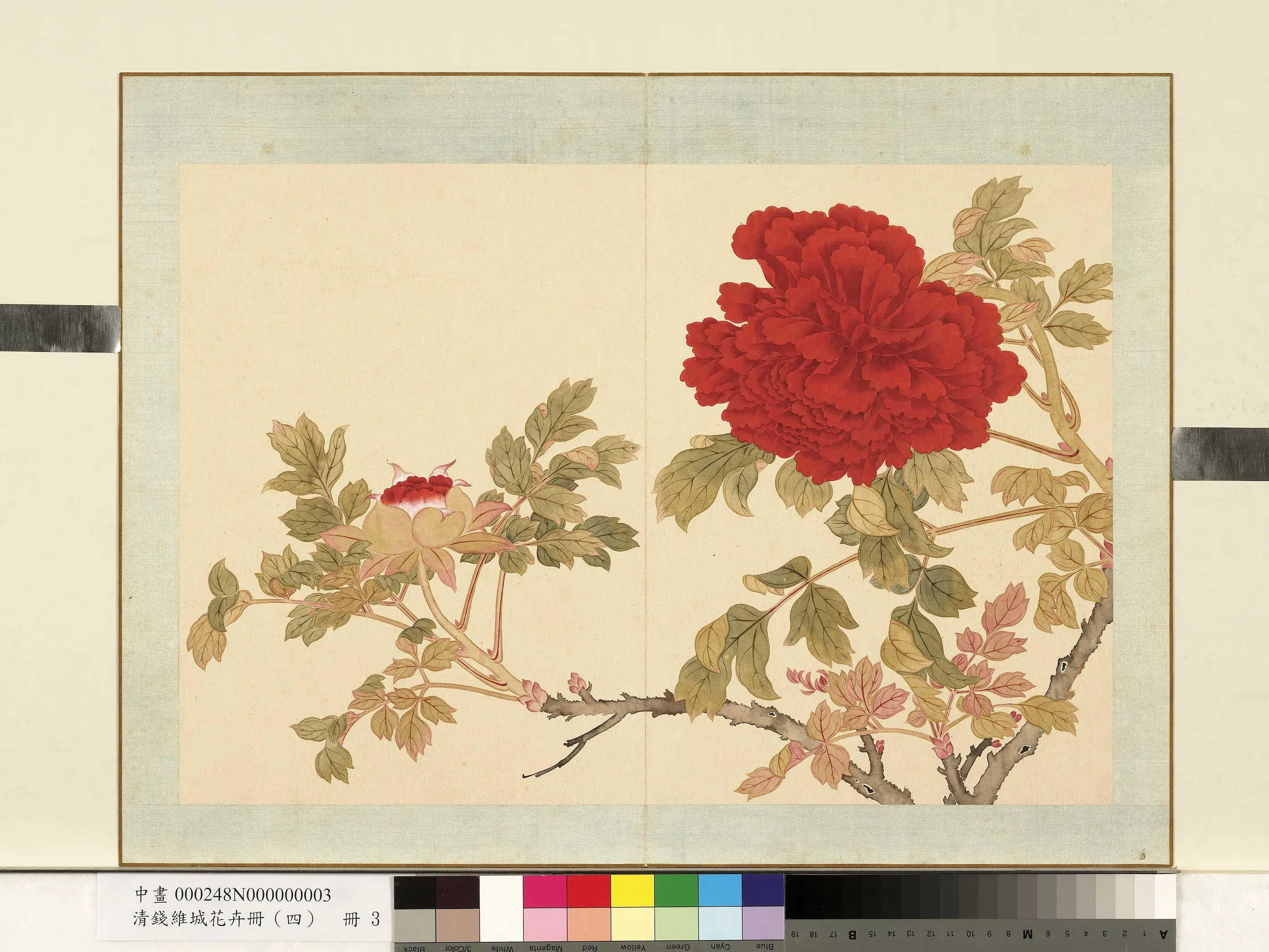 清代【钱维城】《花卉册(四)册》 第4张 清代【钱维城】《花卉册(四)册》 第4张