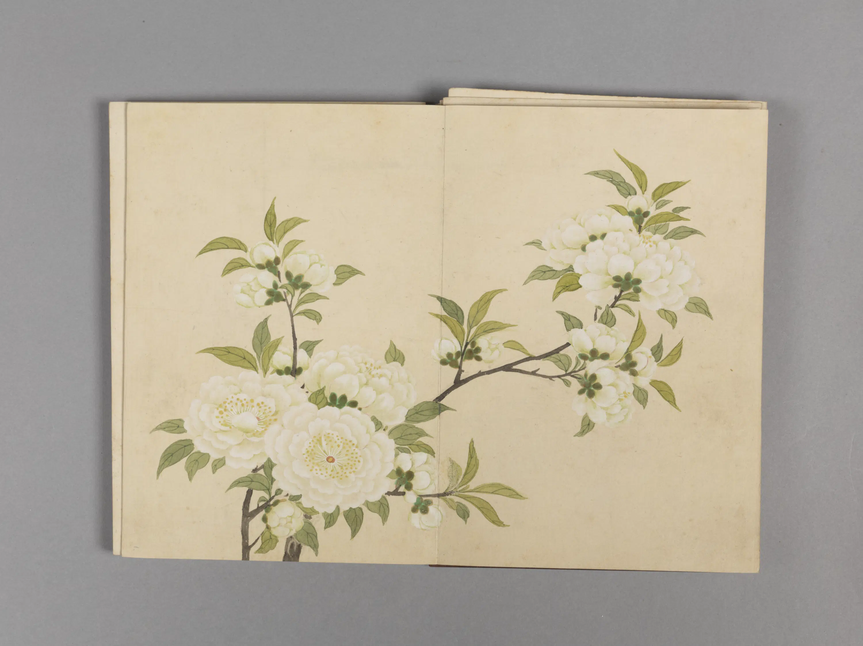 清代【董诰】《花卉小册（16开）》 第5张