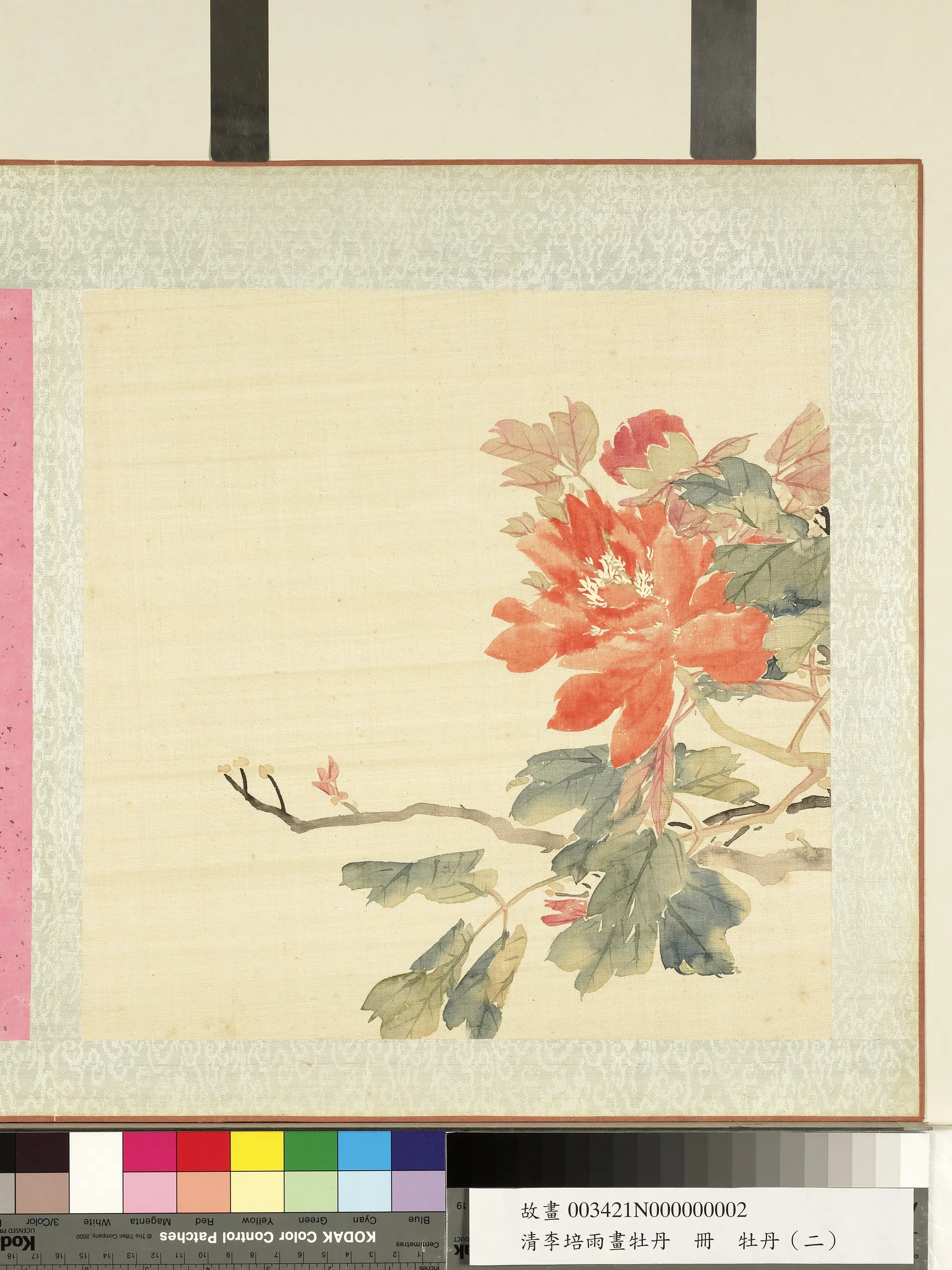 清代【李培雨】《画牡丹册》 第5张 清代【李培雨】《画牡丹册》 第5张