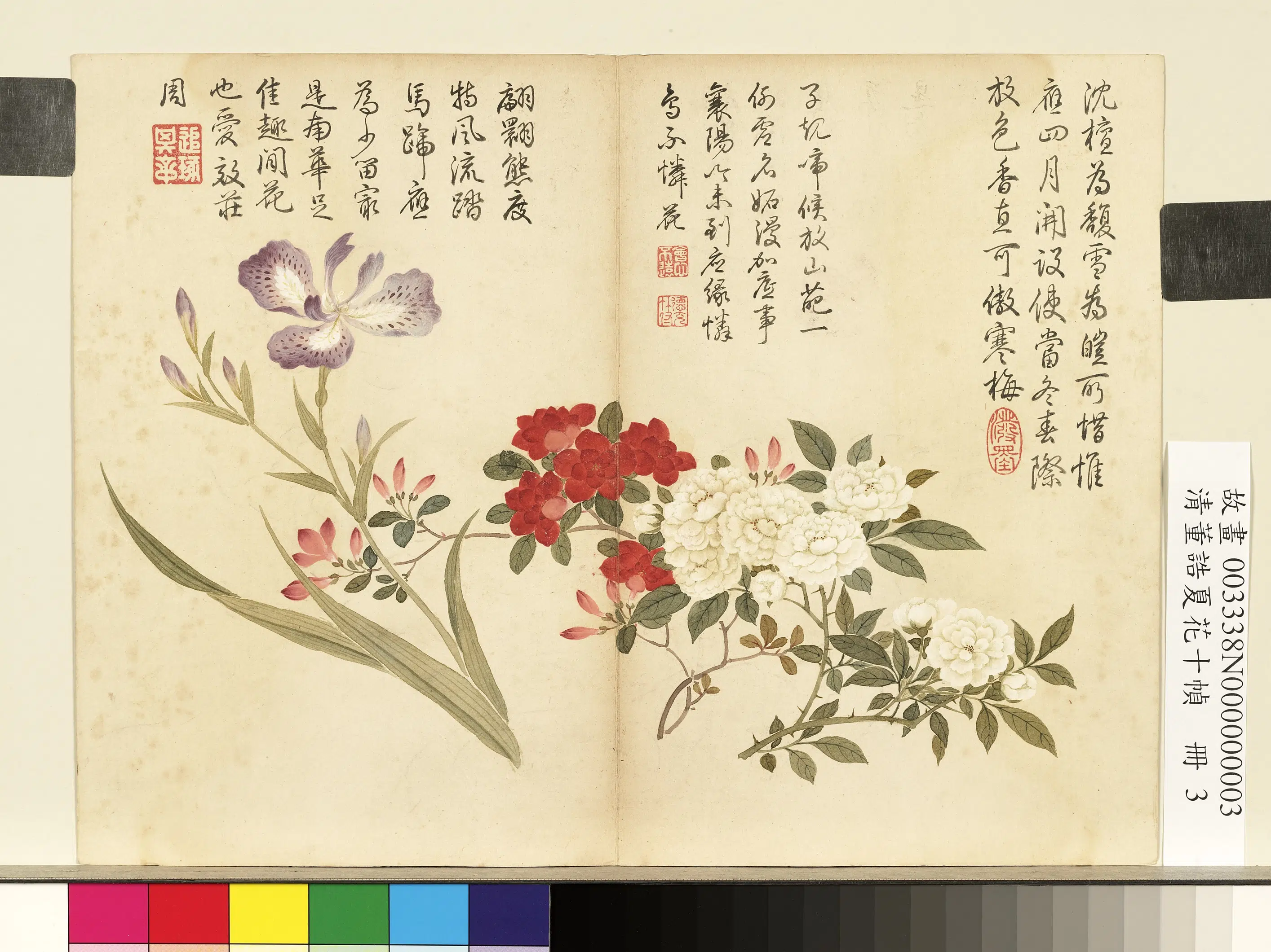 清代【董诰】《夏花十帧册-鸢尾月季》 第1张
