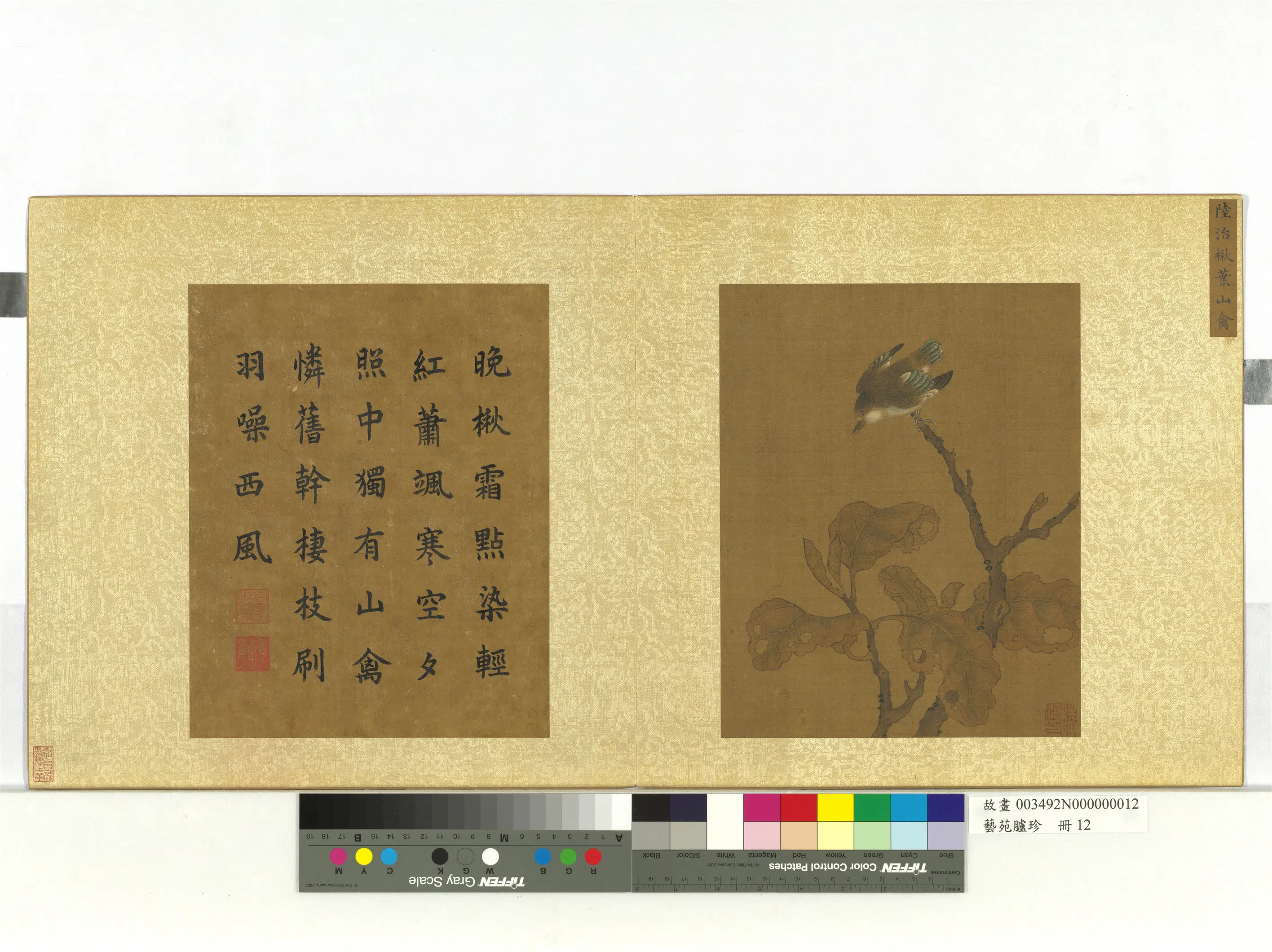 明代【陆治】《楸叶山禽图-艺苑胪珍册》