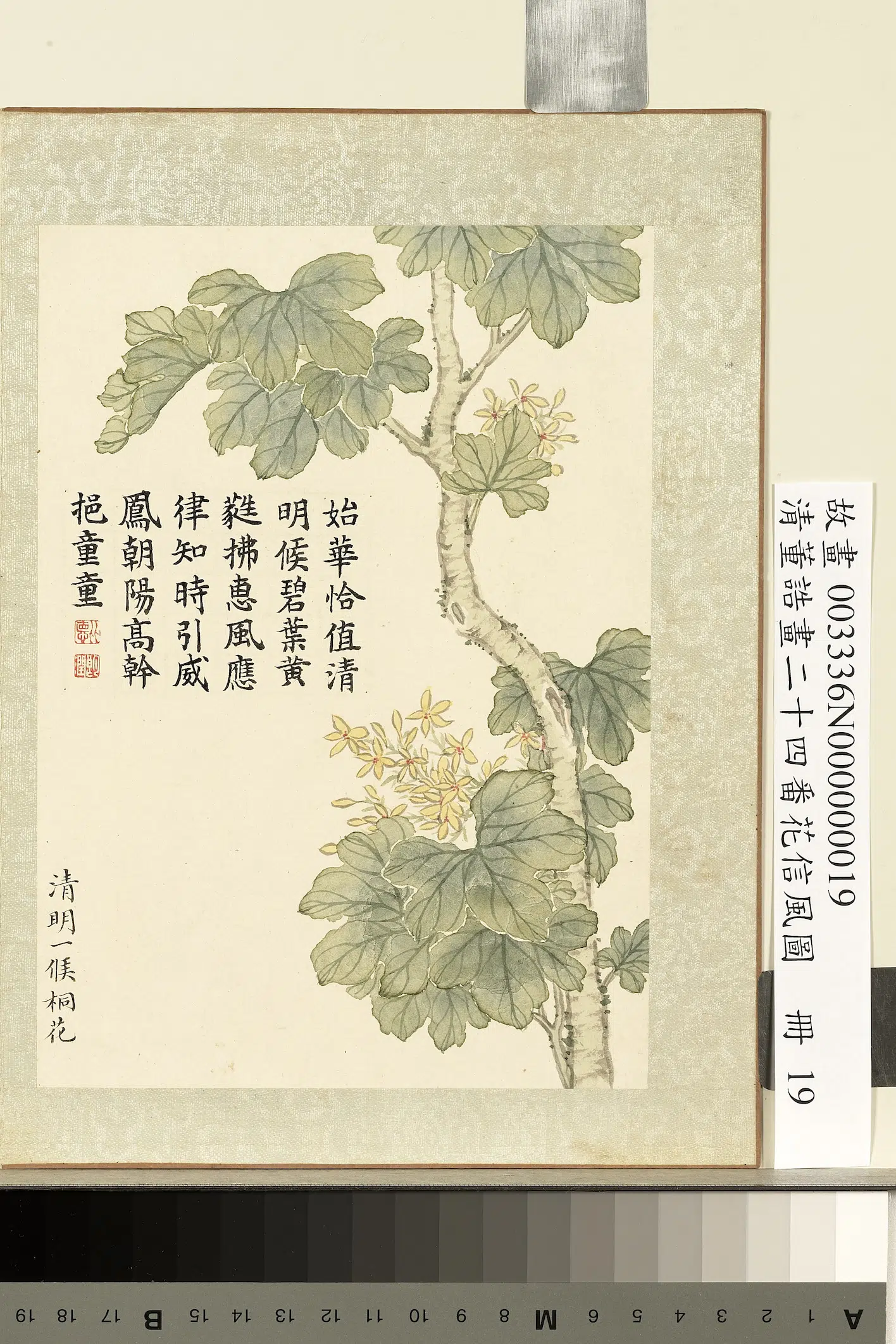 清代【董诰】《画二十四番花信风图册-清明一候桐花》 第1张 清代【董诰】《画二十四番花信风图册-清明一候桐花》 第1张