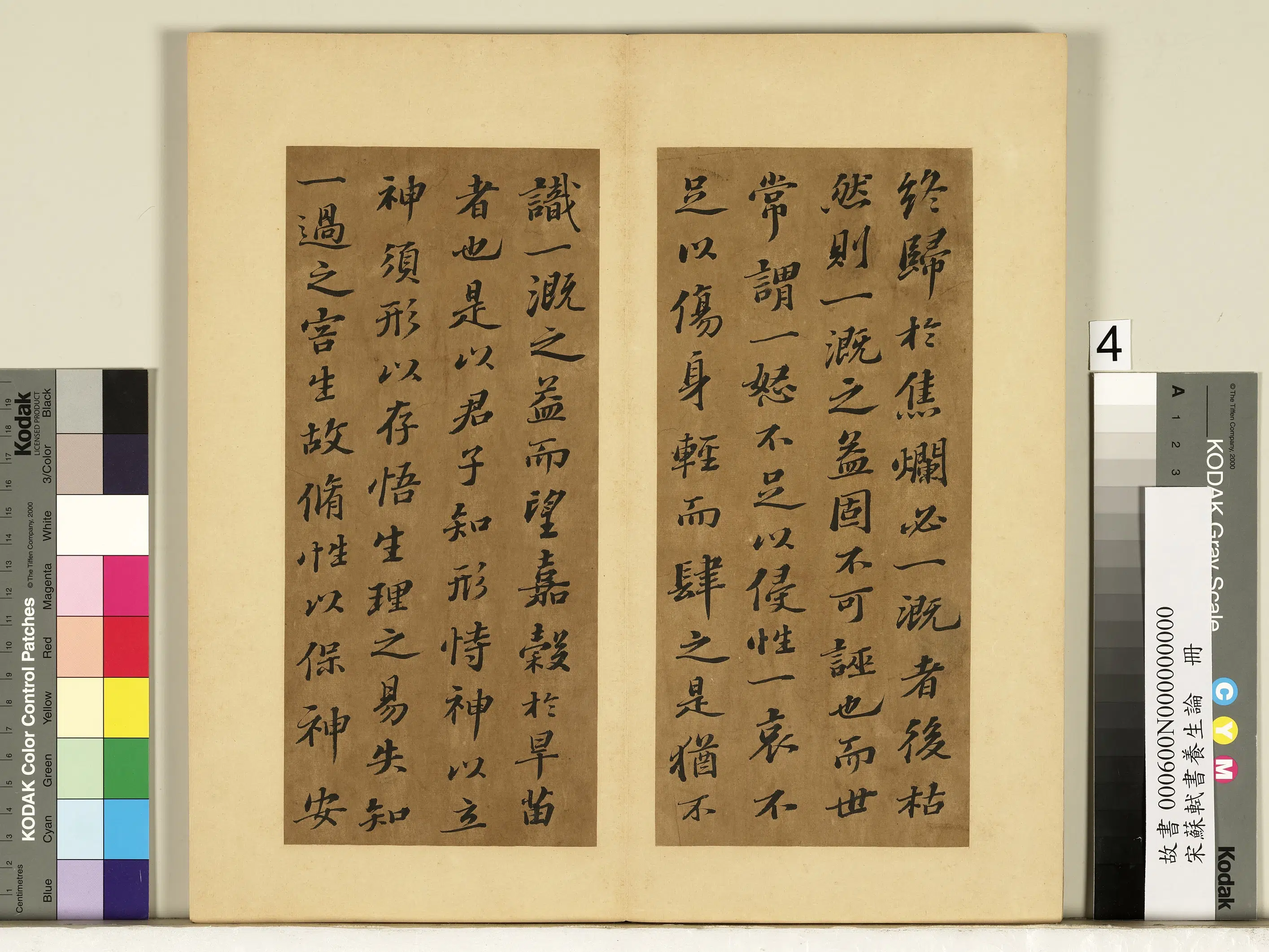 北宋【苏轼】《书养生论真迹册》 第11张 北宋【苏轼】《书养生论真迹册》 第11张