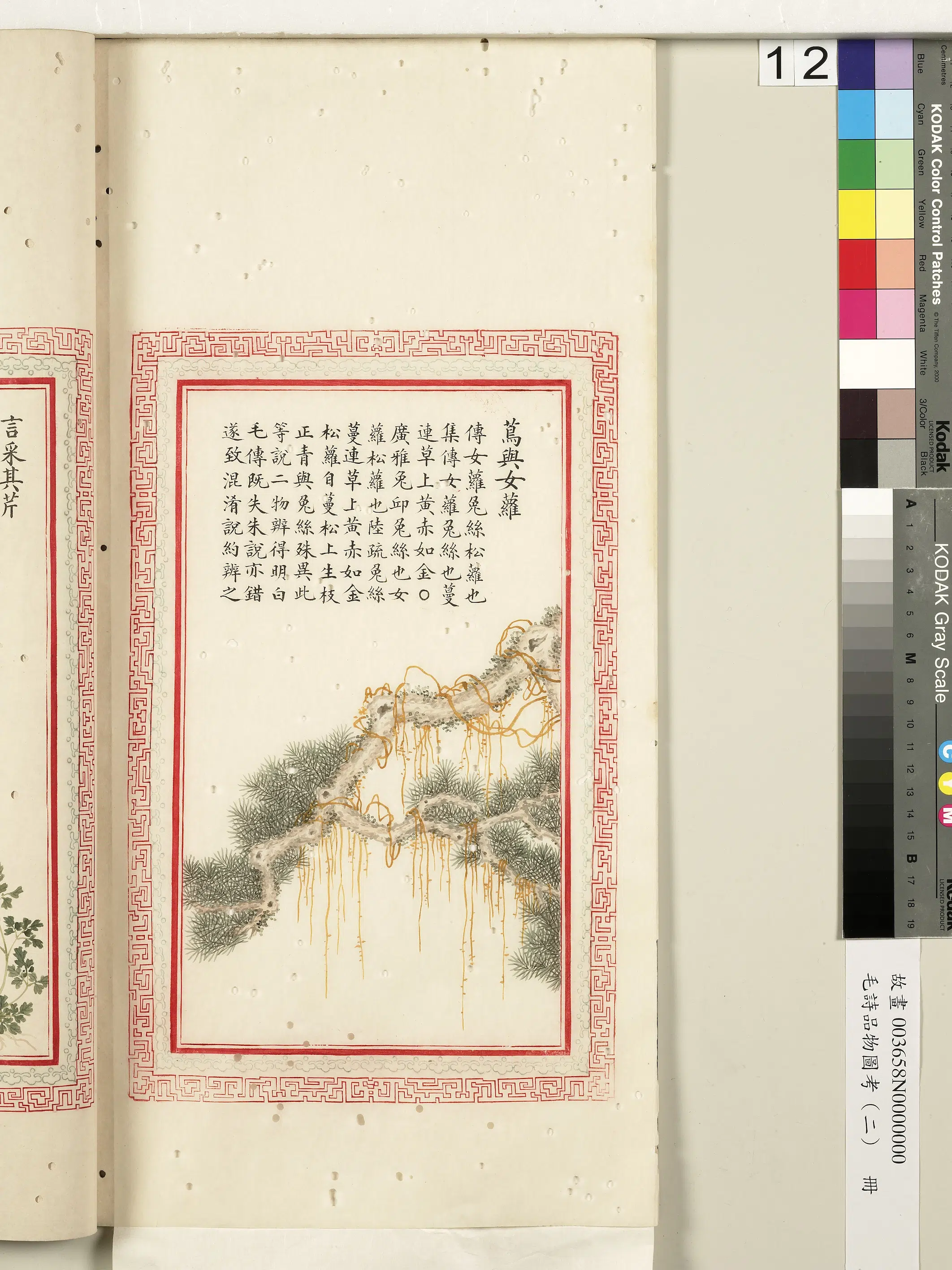 清代《毛诗品物图考（二）册-2》 第43张