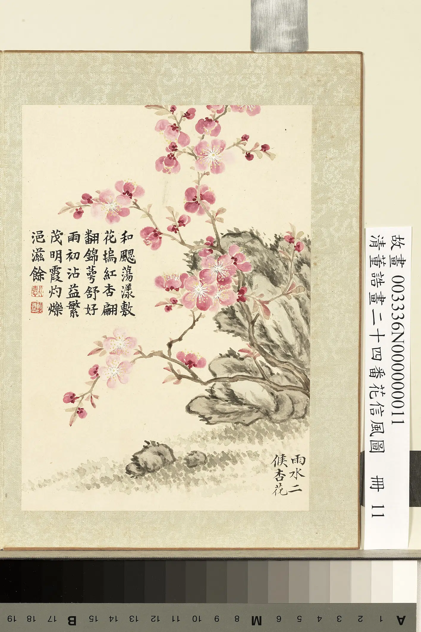 清代【董诰】《画二十四番花信风图册-雨水二候杏花》 第1张