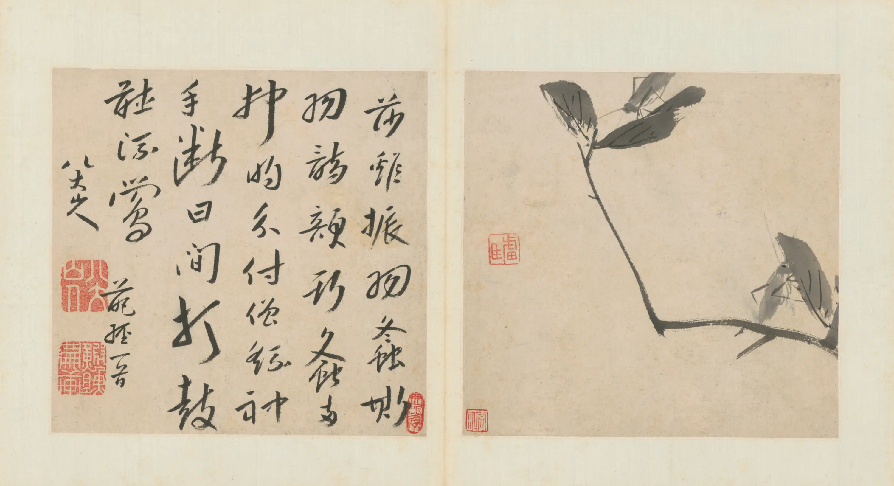清代【朱耷】《杂画册（8开）》 第7张