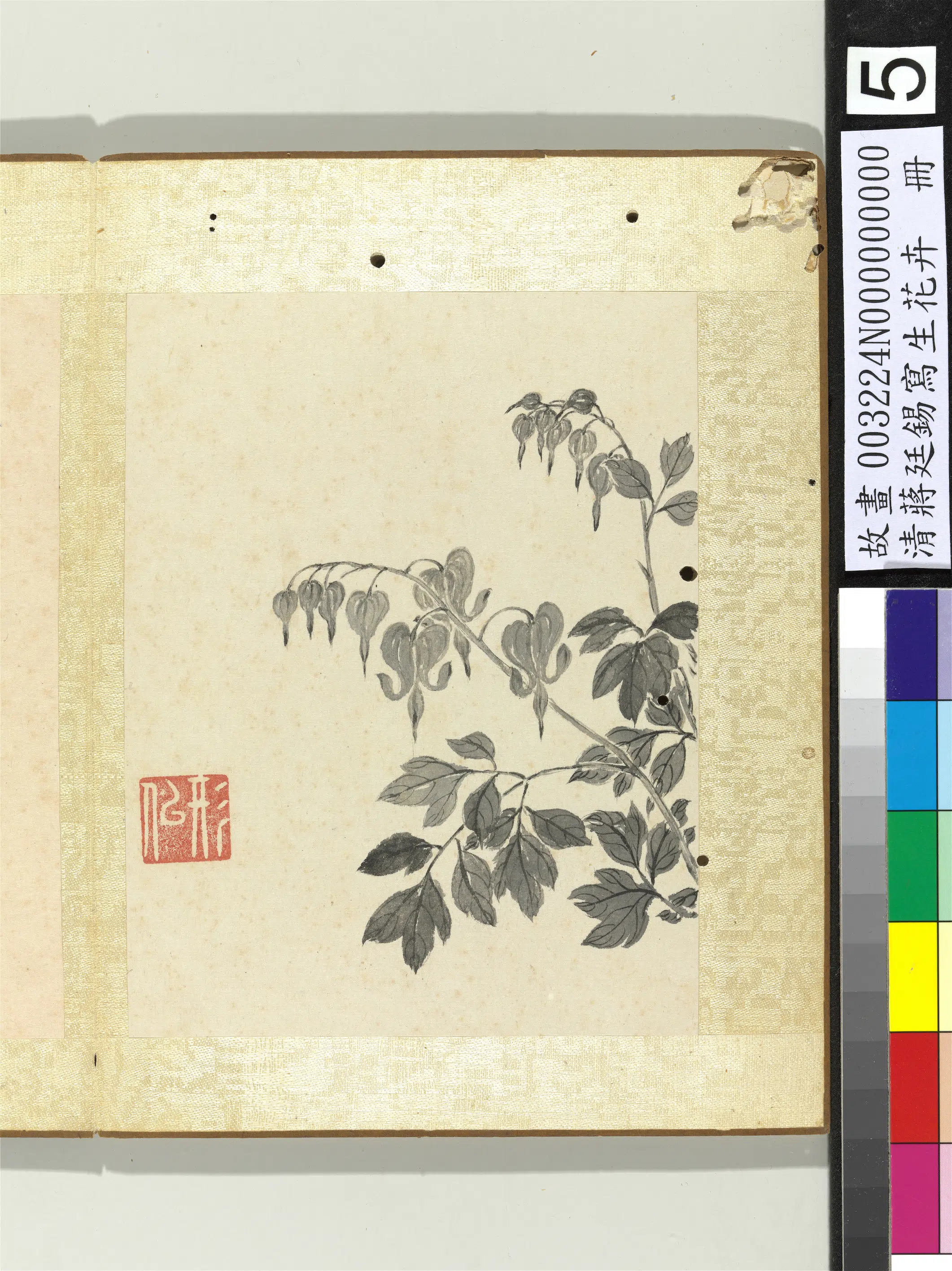清代【蒋廷锡】《写生花卉册》 第12张