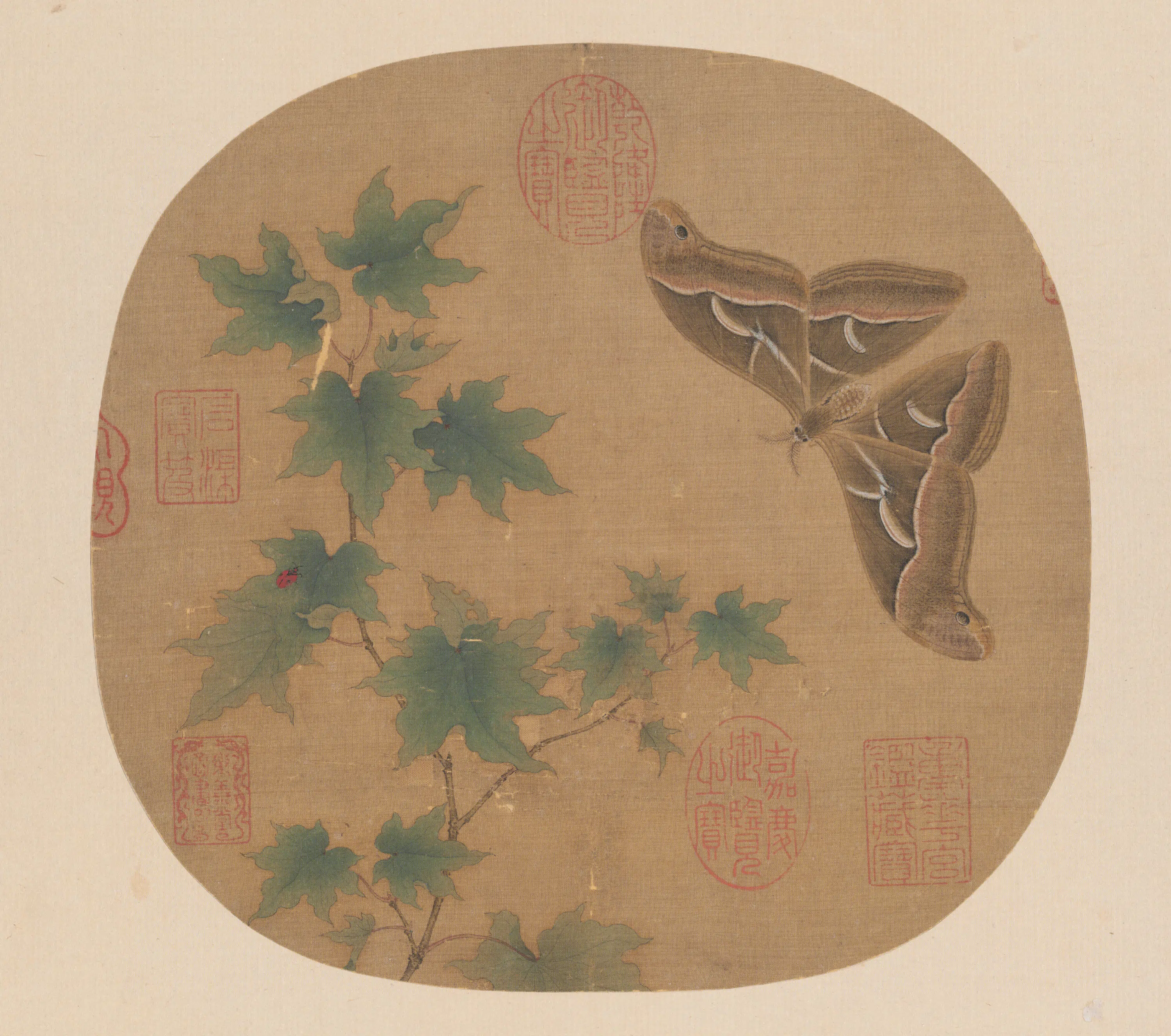 宋代《纨扇画册-宋人青枫巨蝶页》 第1张