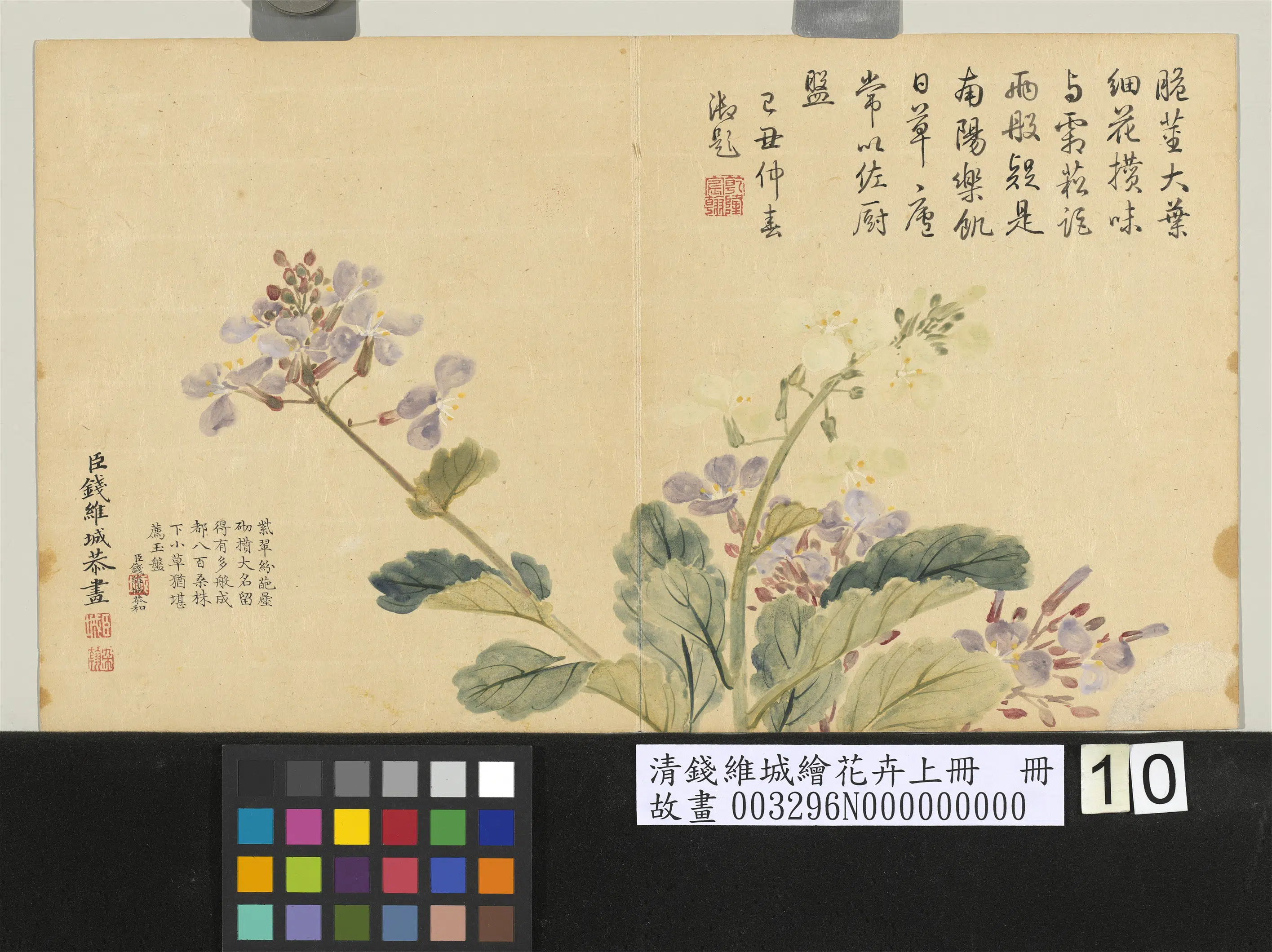 清代【钱维城】《绘花卉（上）册》 第13张