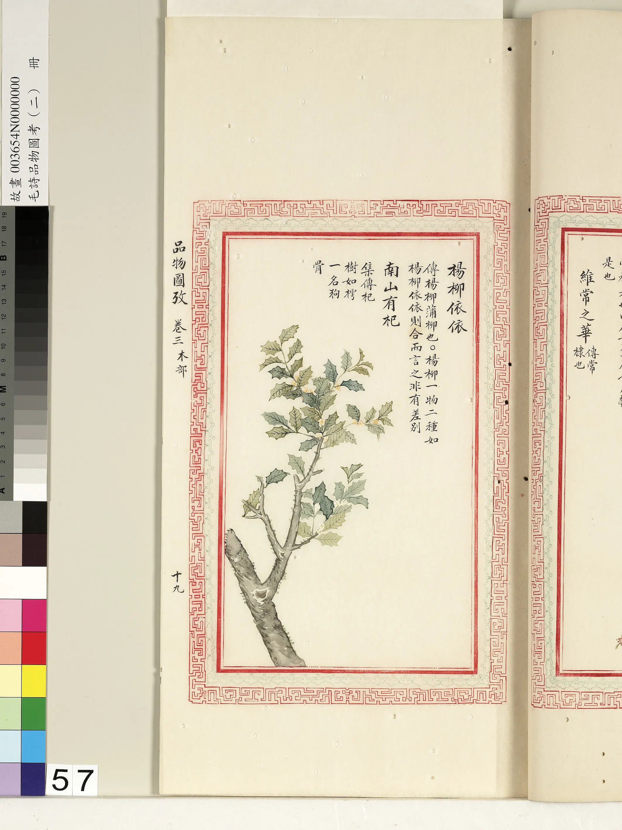 清代《毛诗品物图考(二)册-1》 第26张 清代《毛诗品物图考(二)册-1》 第26张