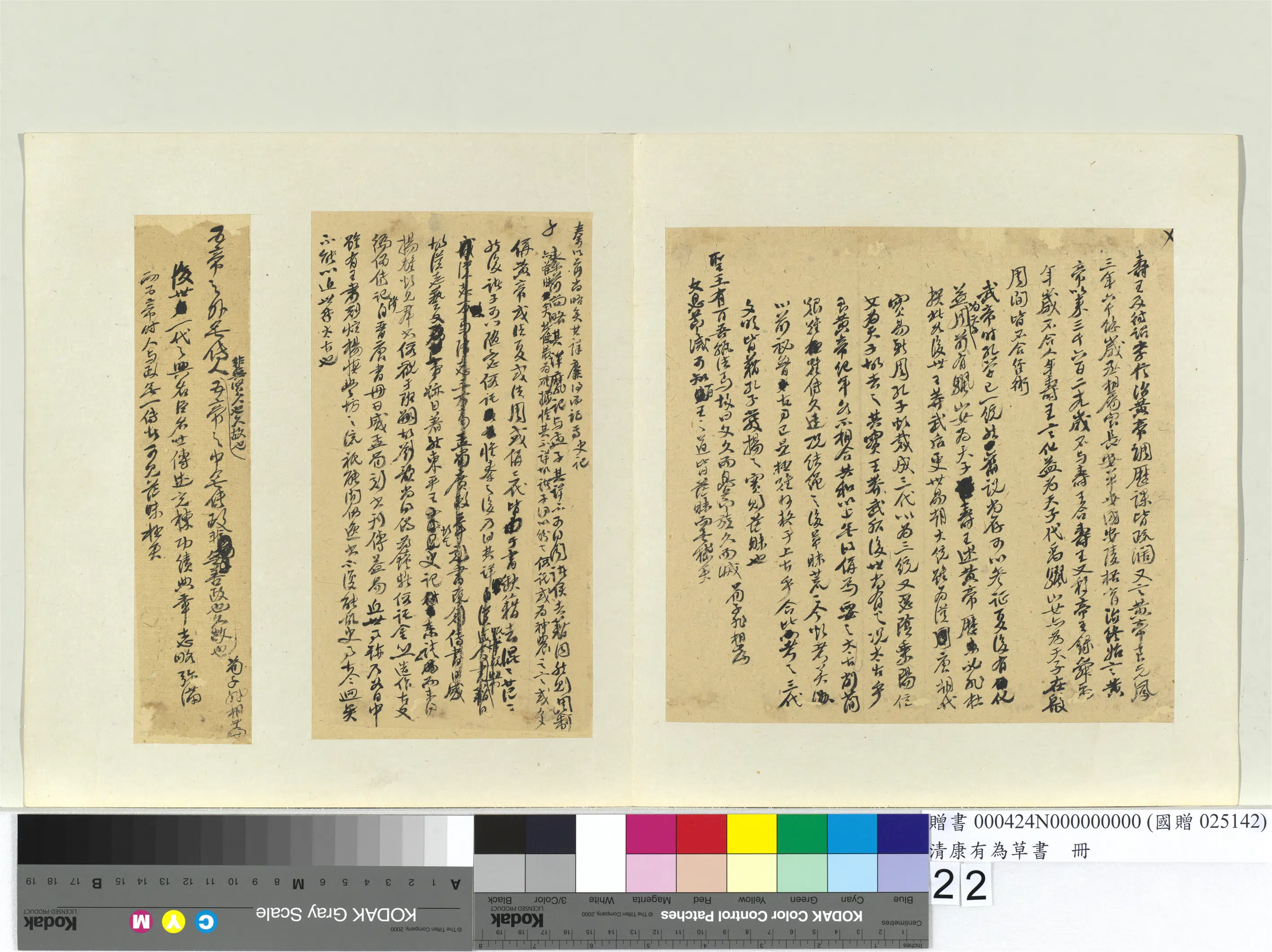 清代【康有为】《草书册》 第15张
