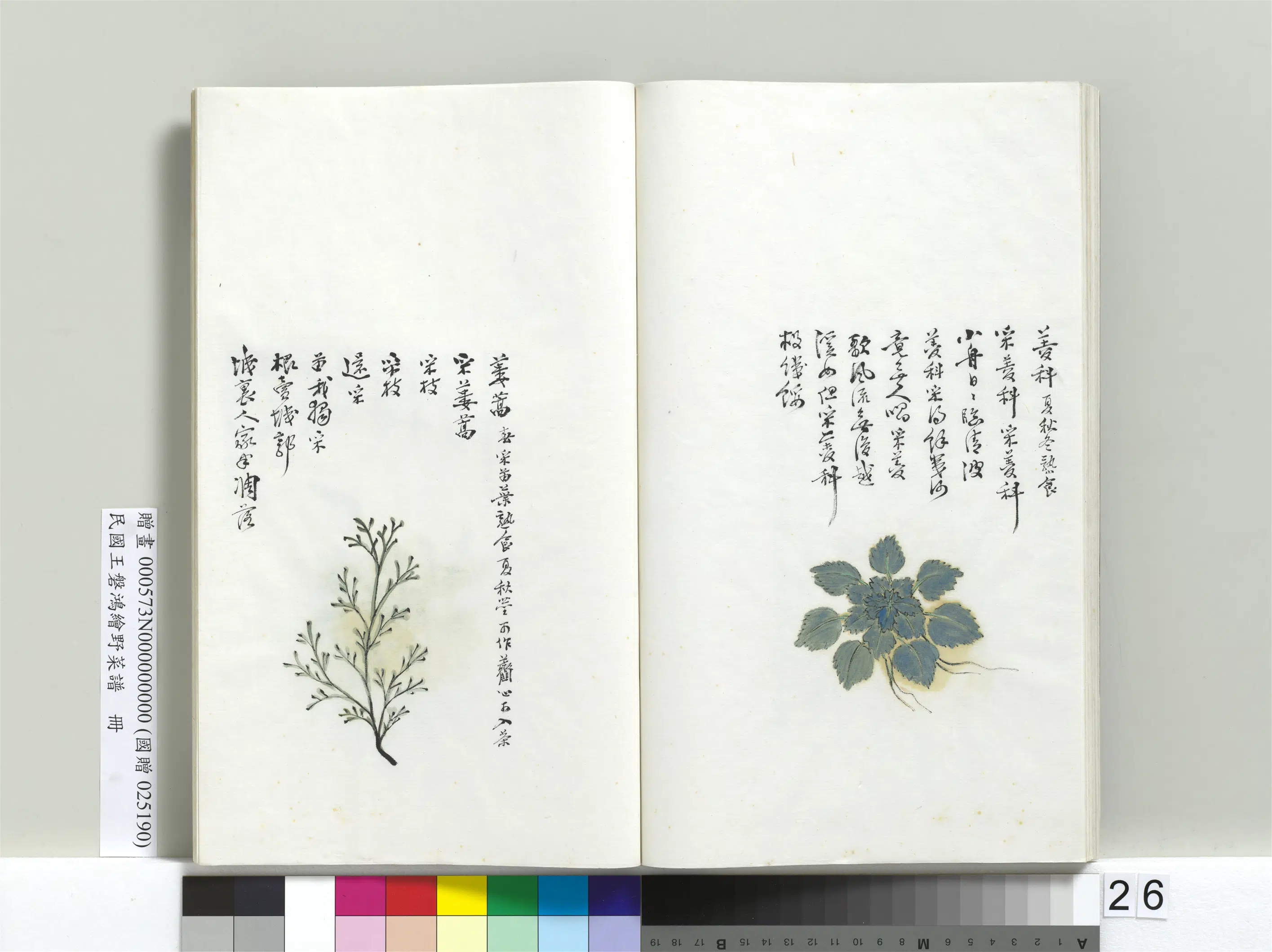 《绘王盘野菜谱册》 第19张 《绘王盘野菜谱册》 第19张