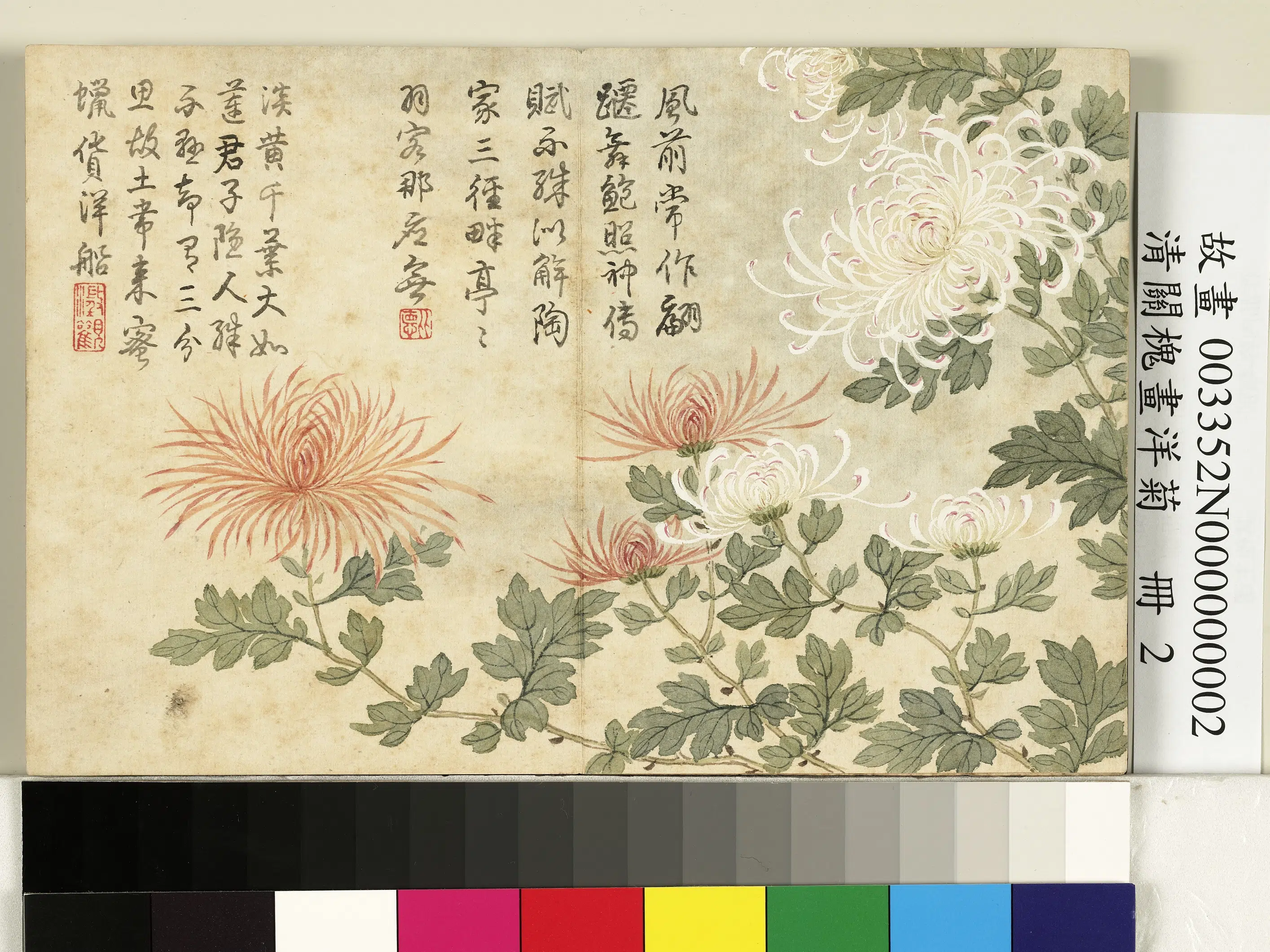 清代【关槐】《画洋菊册》 第4张