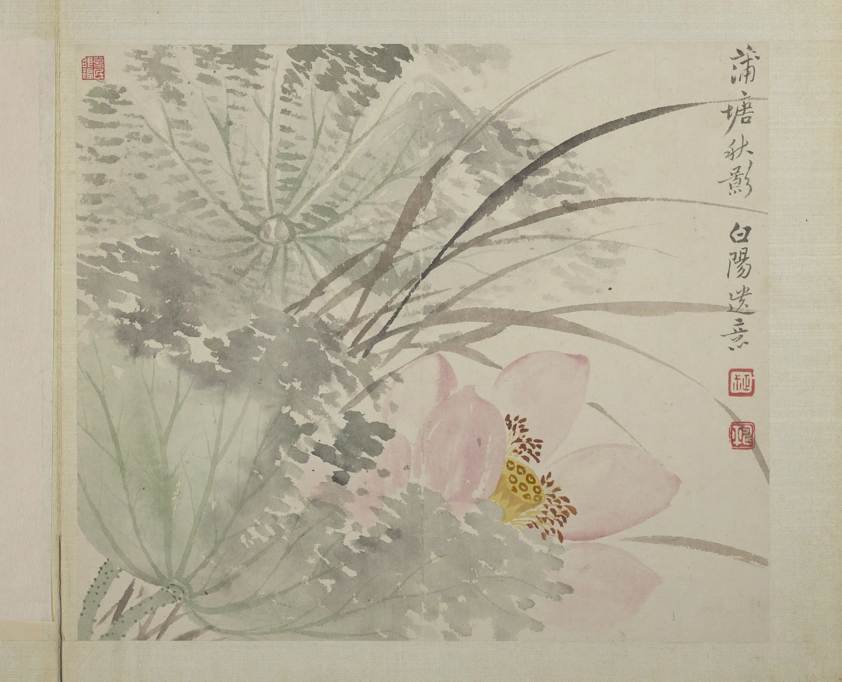 清代【恽寿平】《画花卉册-蒲塘秋影》