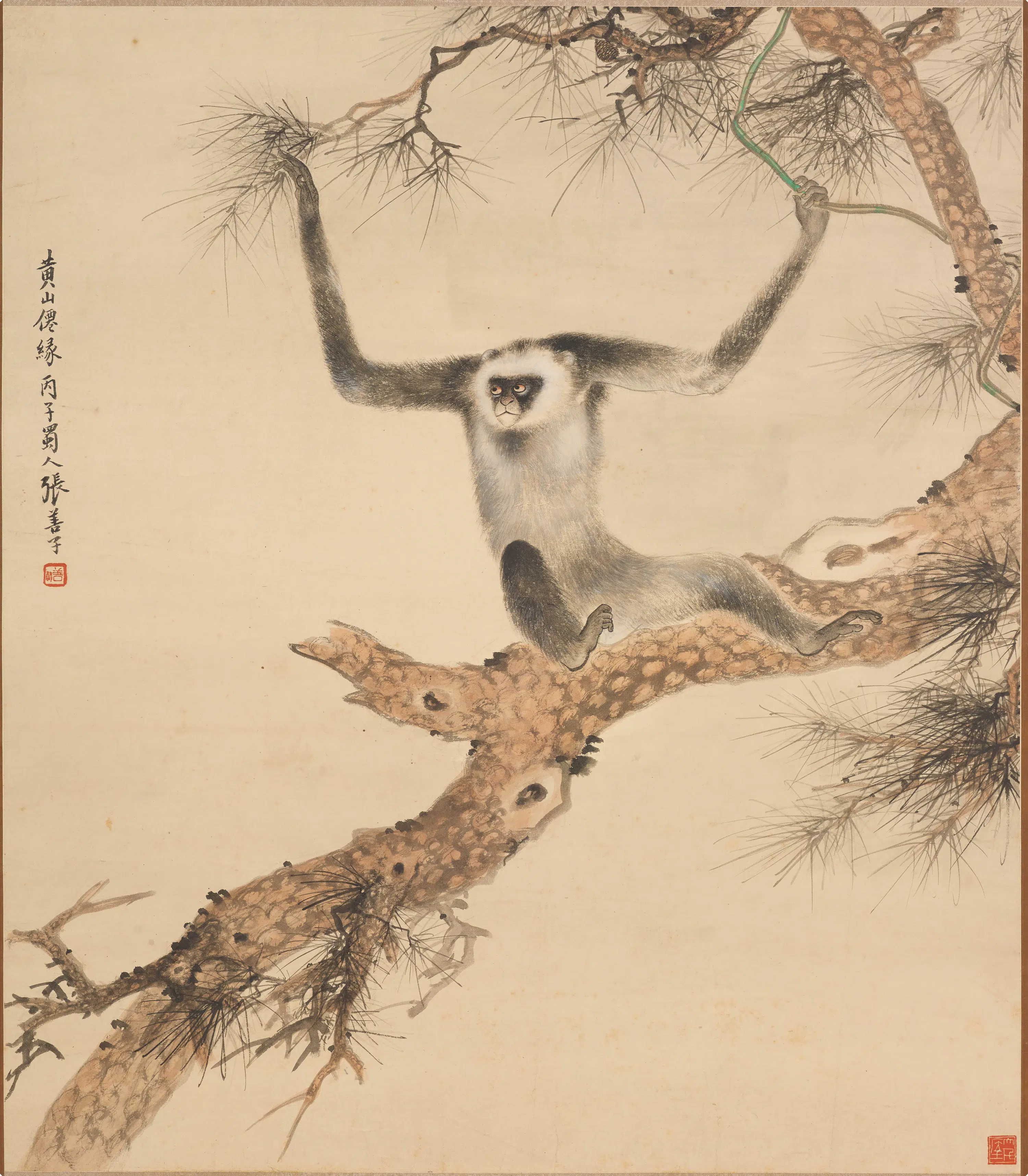 近现代【张善子（张善孖）】《黄山白猿图轴》
