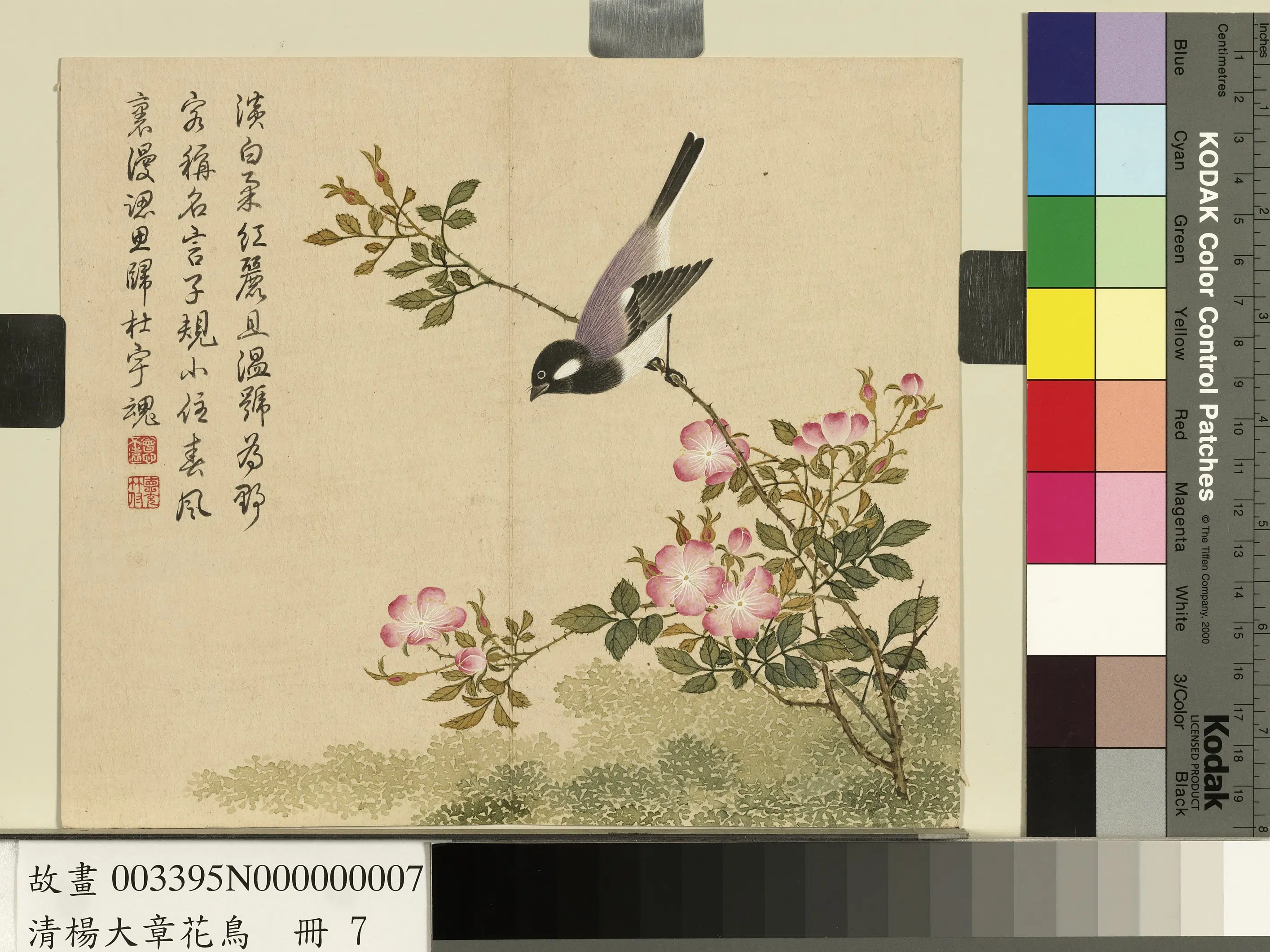 清代【杨大章】《花鸟册》 第10张 清代【杨大章】《花鸟册》 第10张