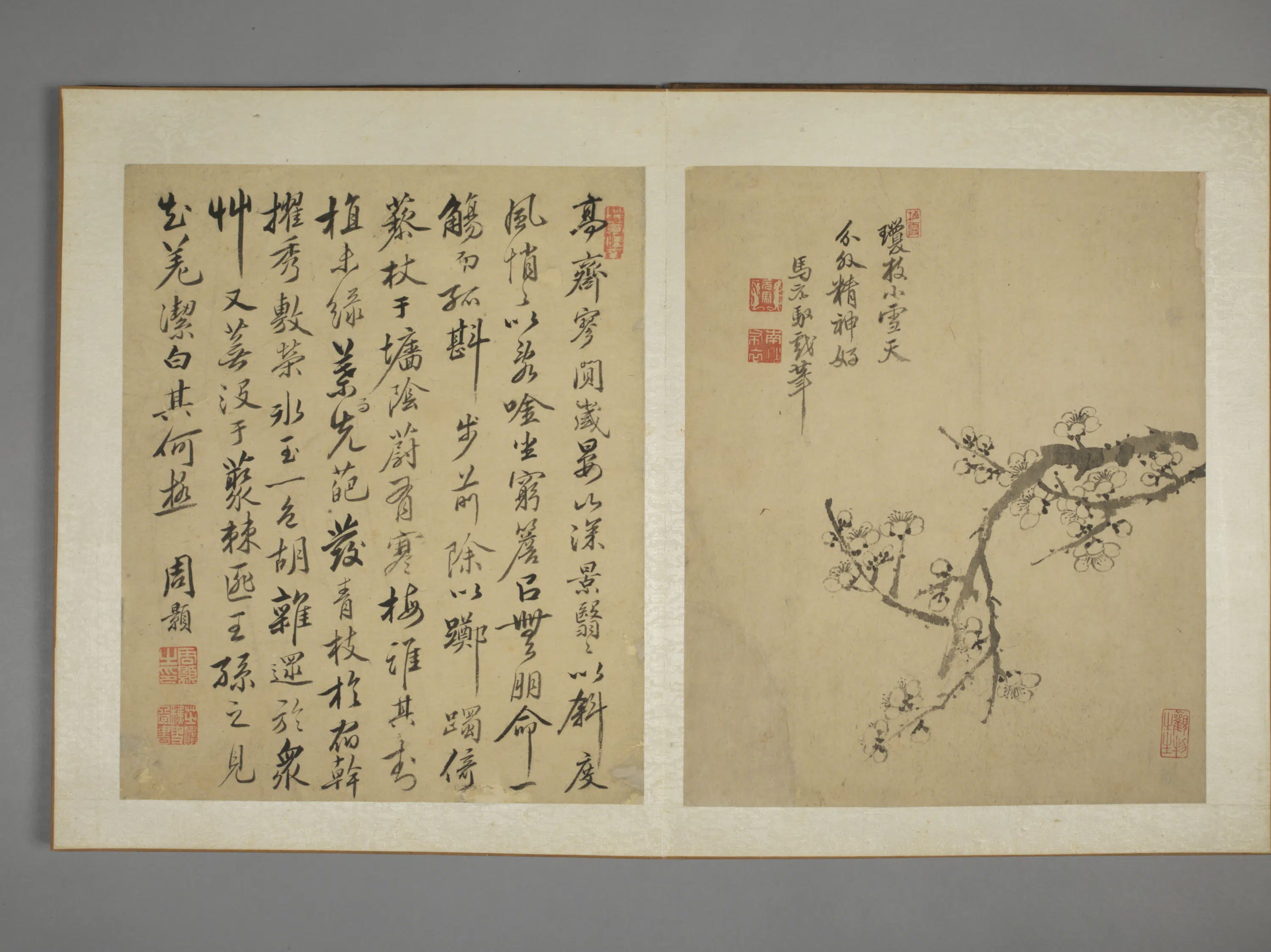 清代【马元驭】《花鸟图册》 第12张