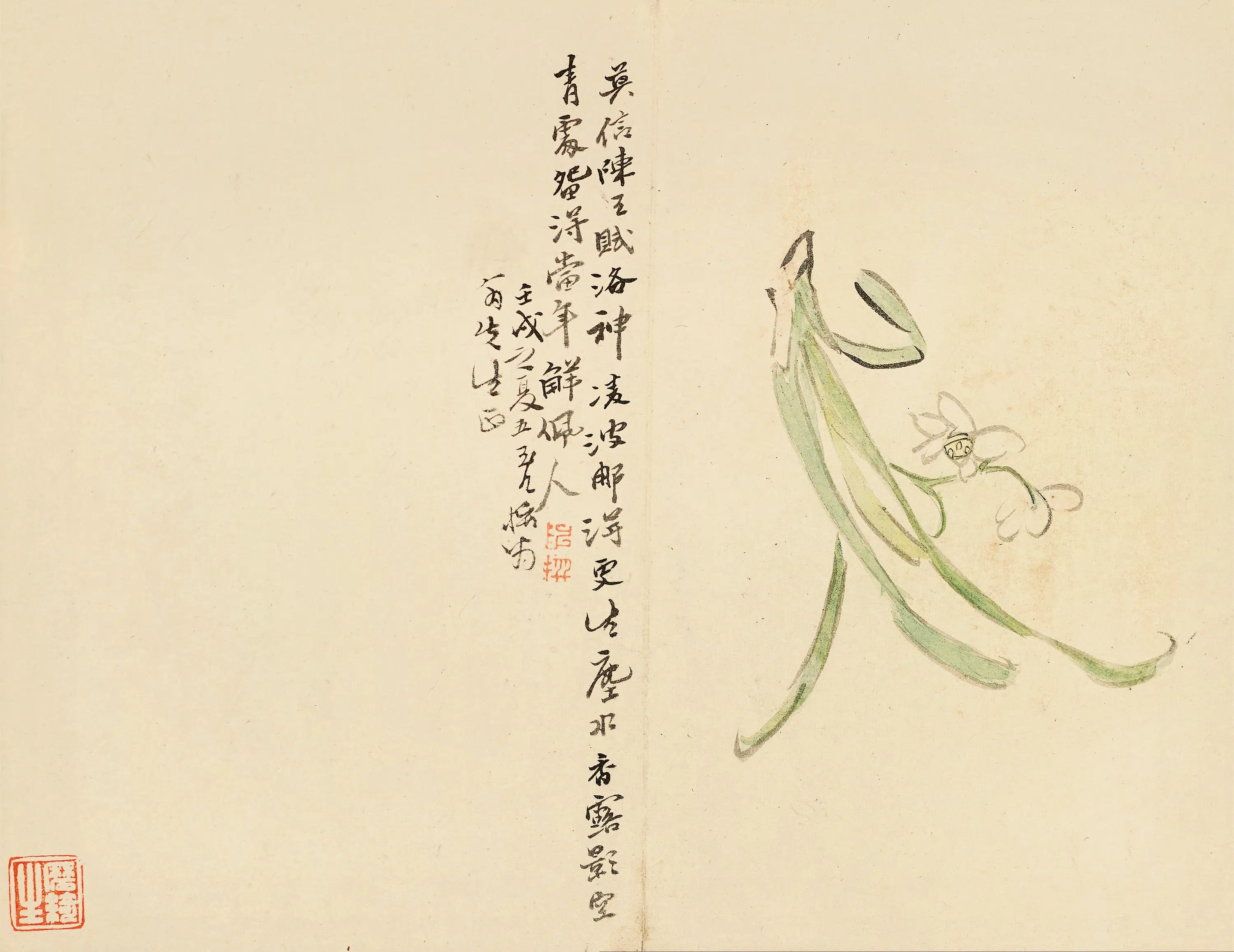 清代【陈撰】《花卉图册-3》 第9张
