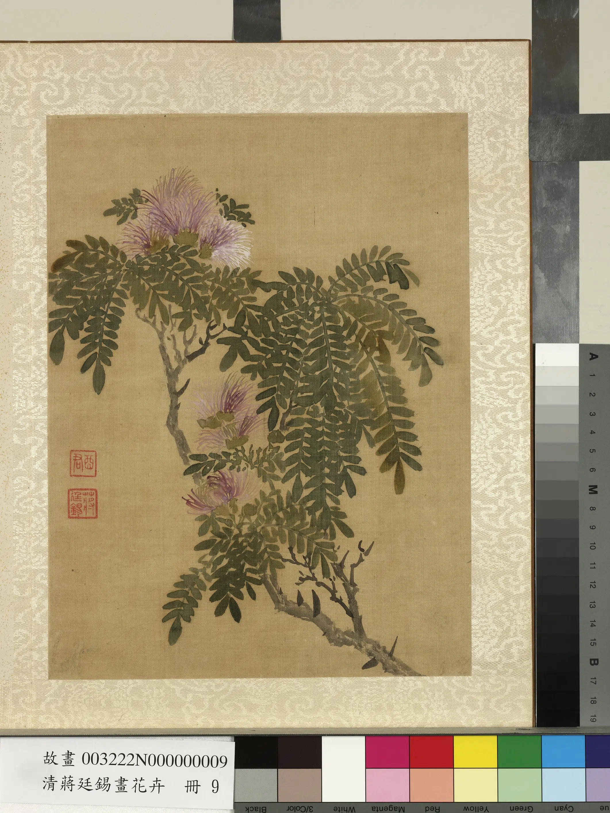 清代【蒋廷锡】《画花卉册-合欢（粉扑花）》