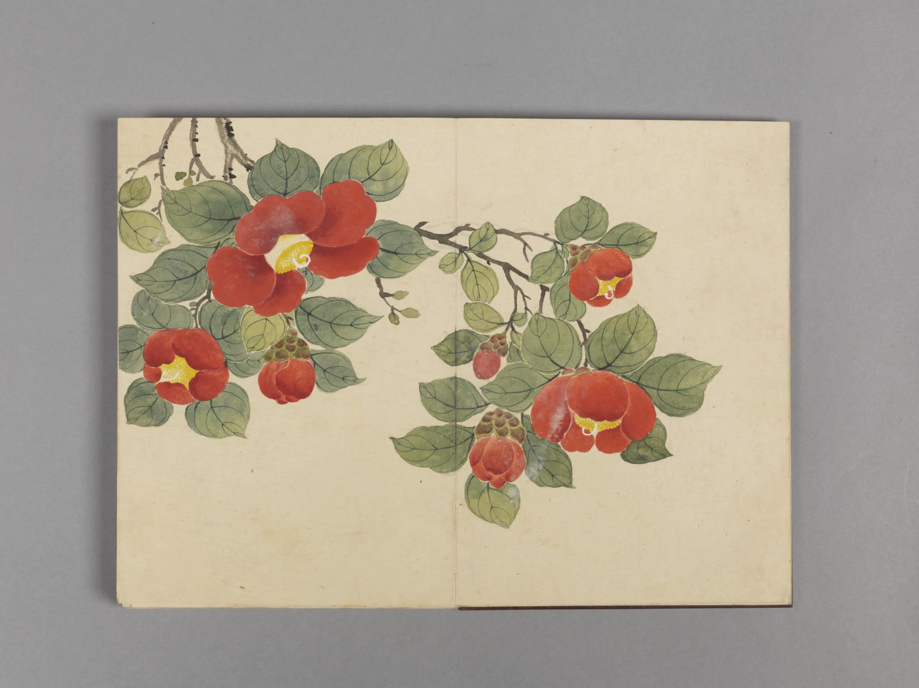 清代【董诰】《花卉小册（16开）》 第1张