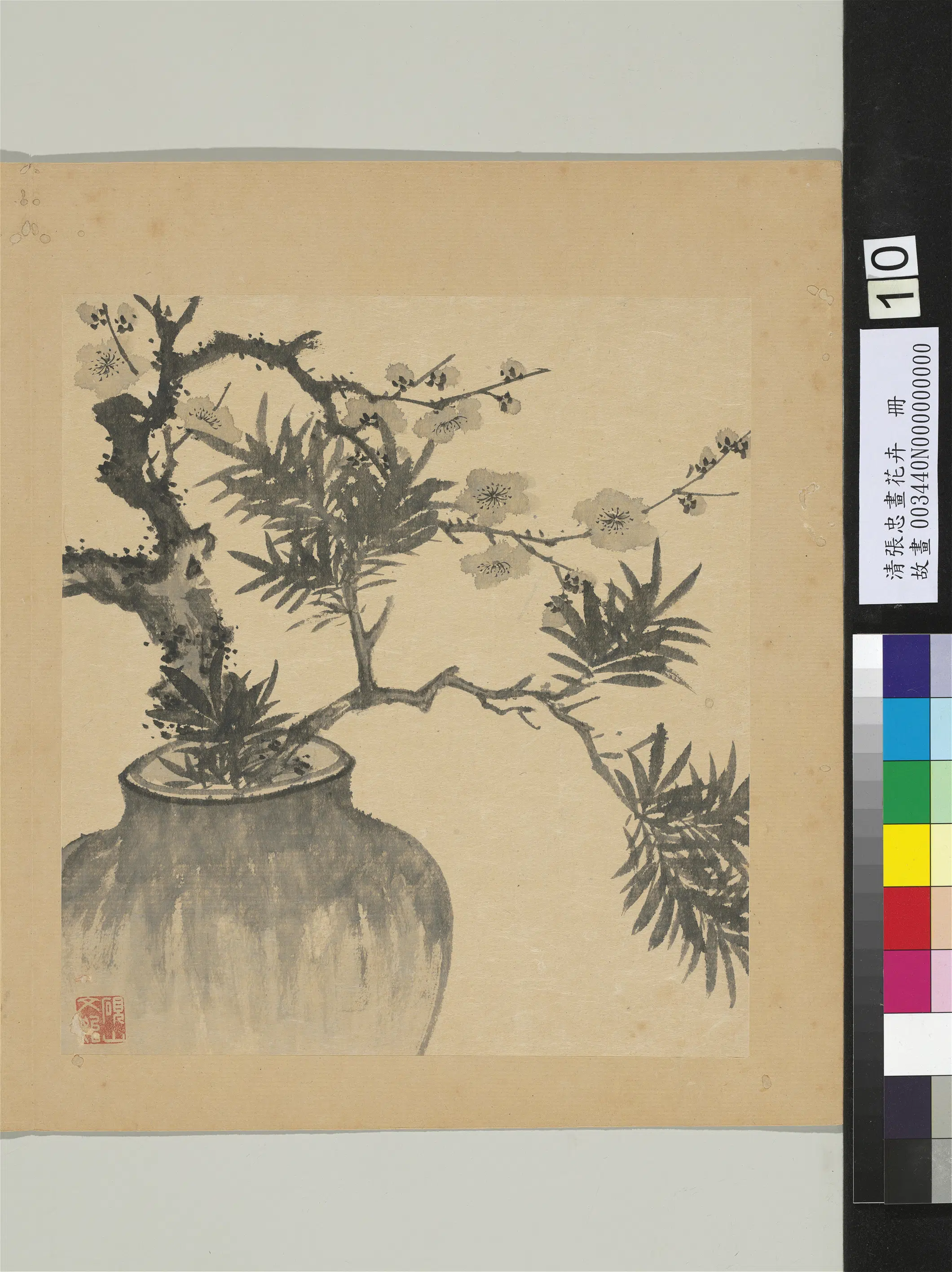 清代【张忠】《画花卉册》 第6张