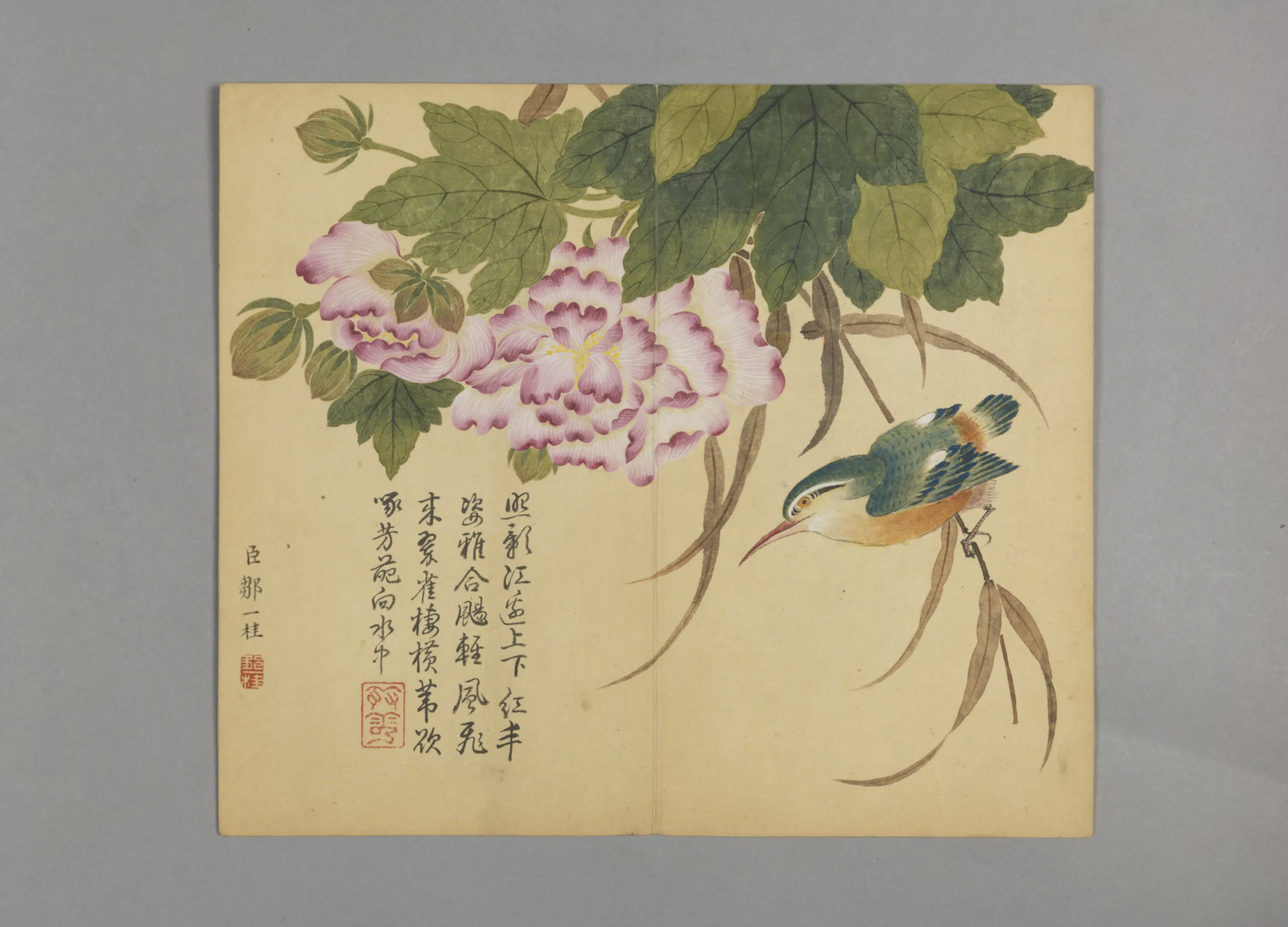 清代【邹一桂】《花鸟草虫图册（12开）》 第12张