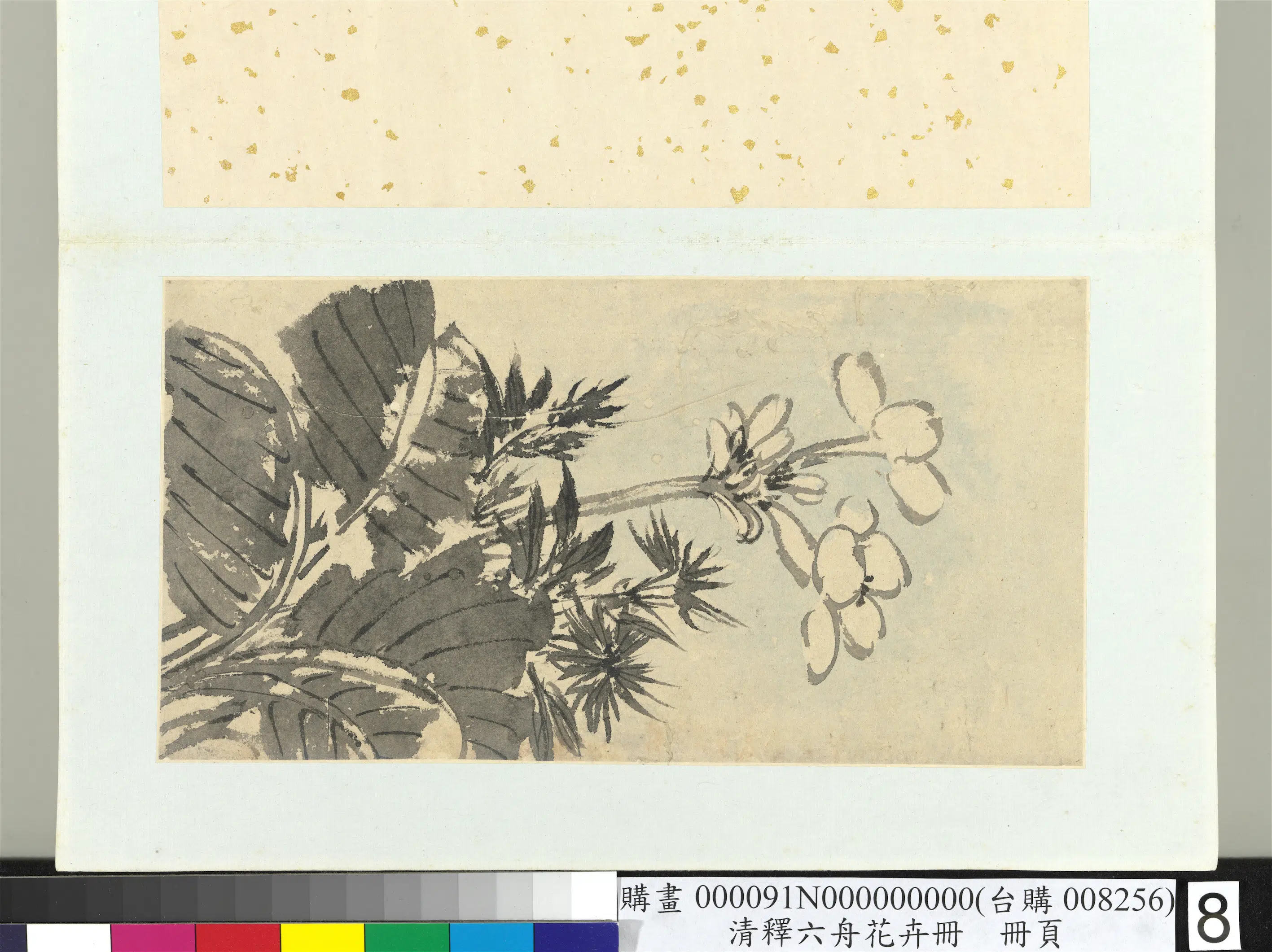 清代【释达受】《花卉册-八》