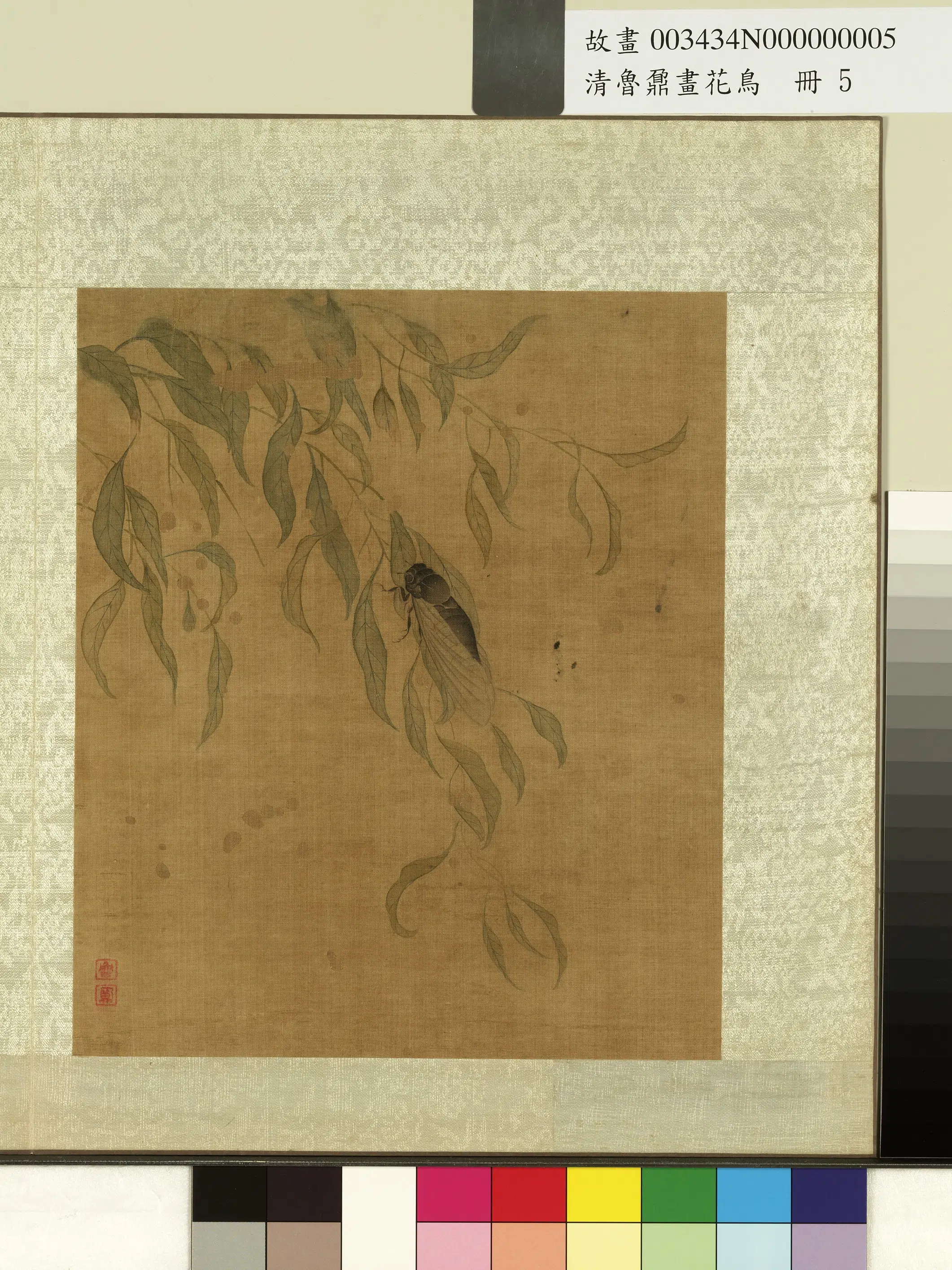 清代【鲁鼐】《画花鸟册》 第1张