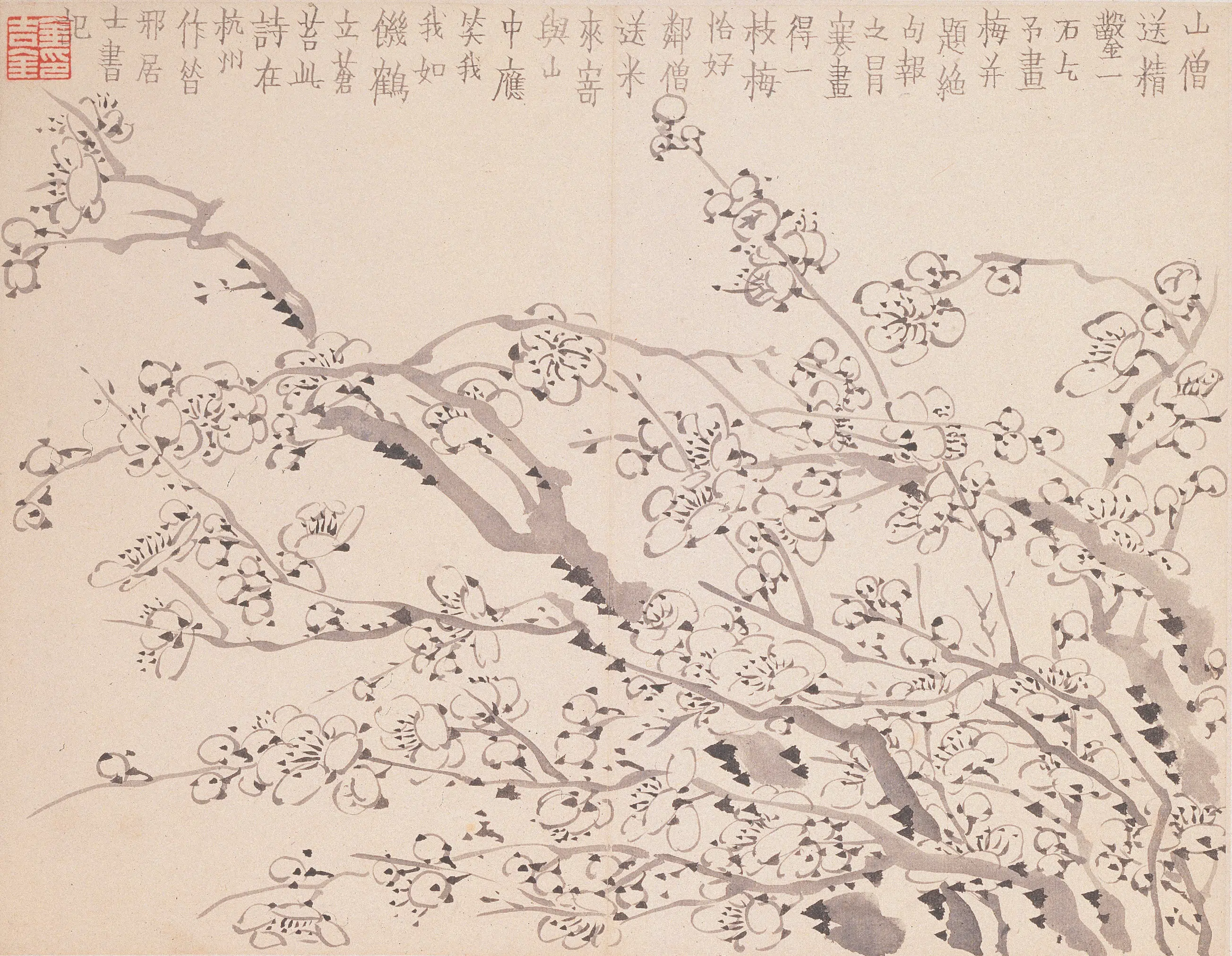 清代【金农】《墨梅图册》 第13张