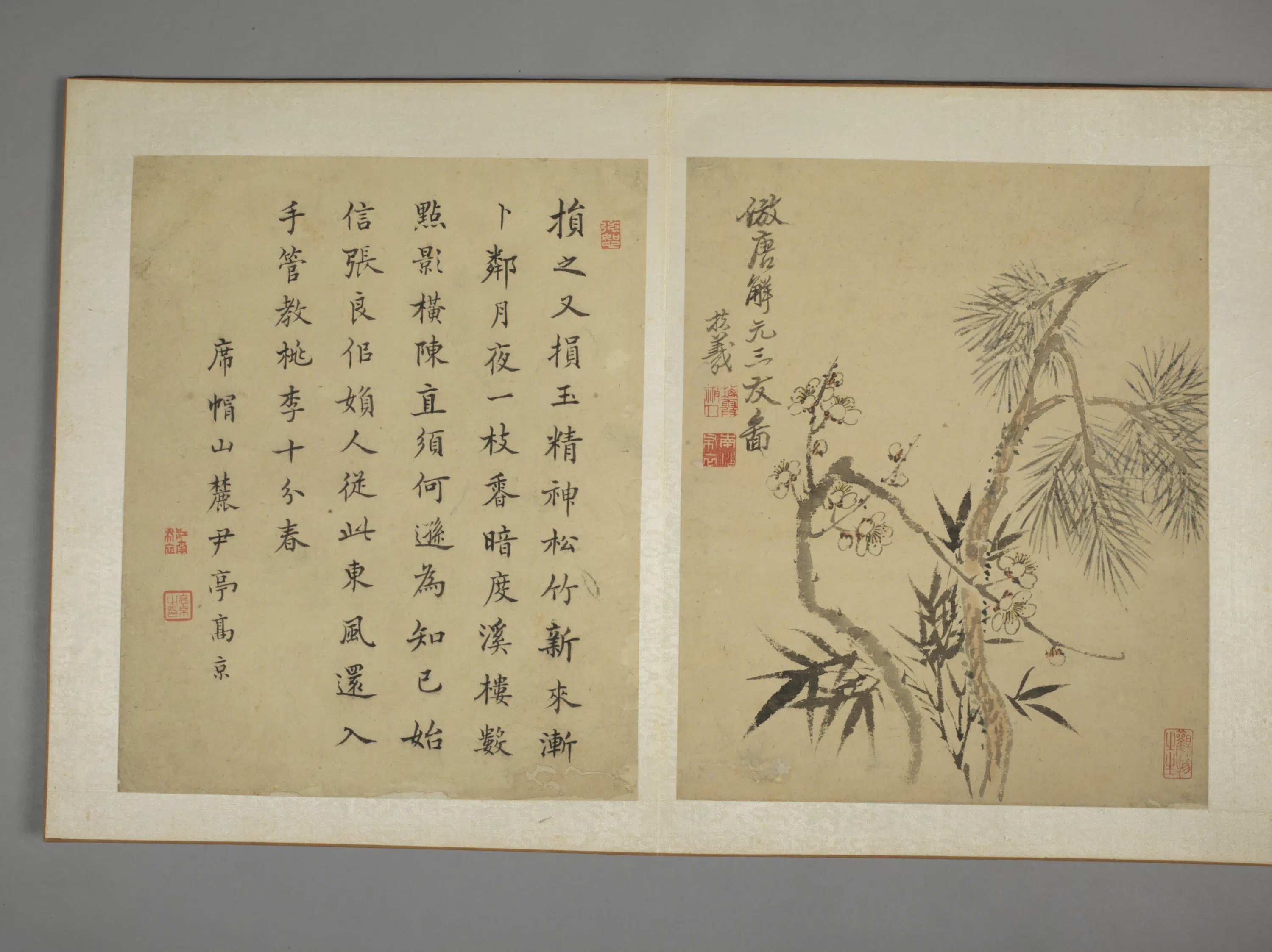 清代【马元驭】《花鸟图册》 第6张