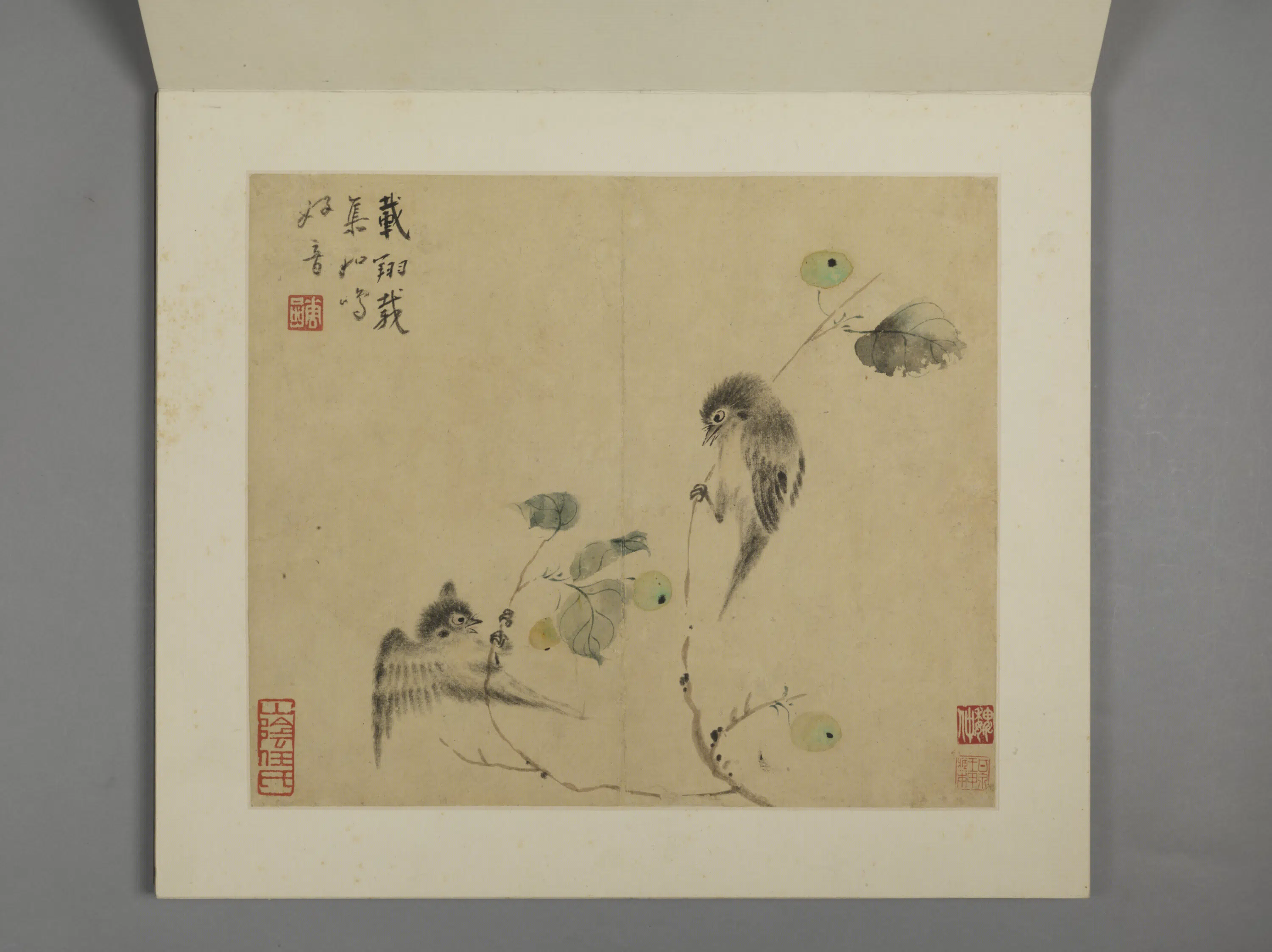 清代【华喦】《花鸟册（8开）》 第6张