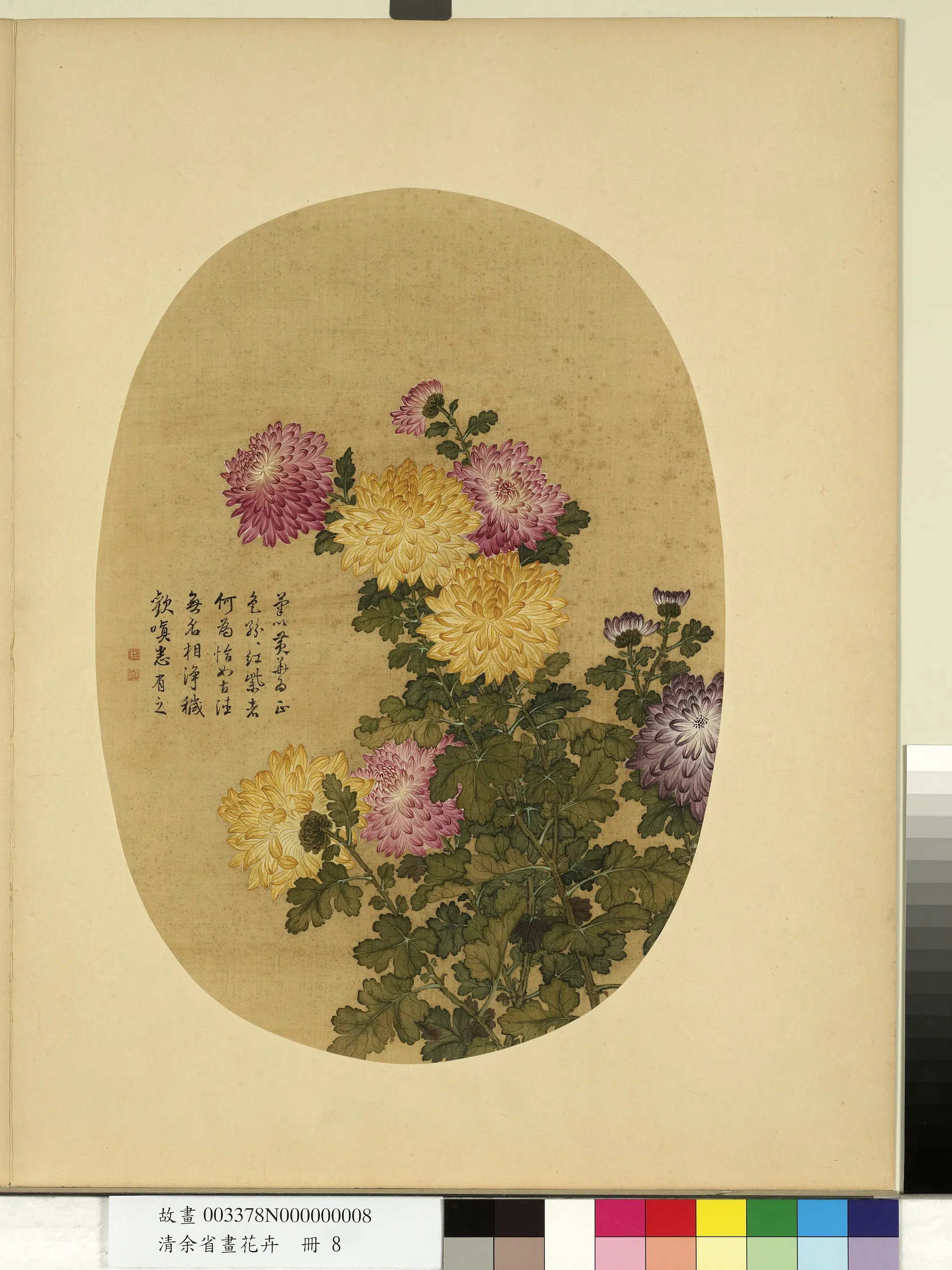 清代【余省】《画花卉册-菊》 第1张 清代【余省】《画花卉册-菊》 第1张