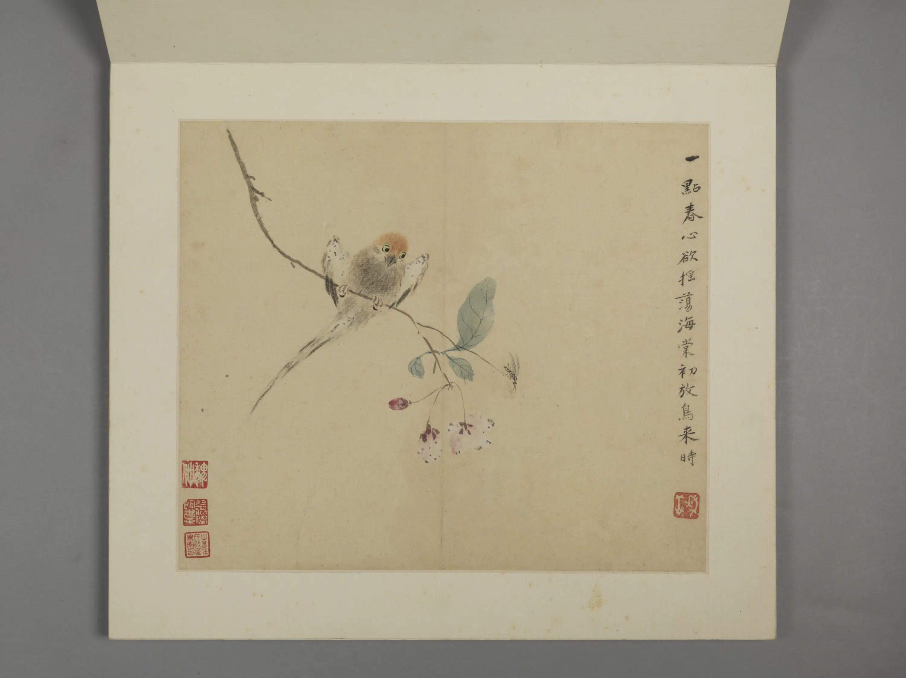 清代【华喦】《花鸟册（8开）》 第5张