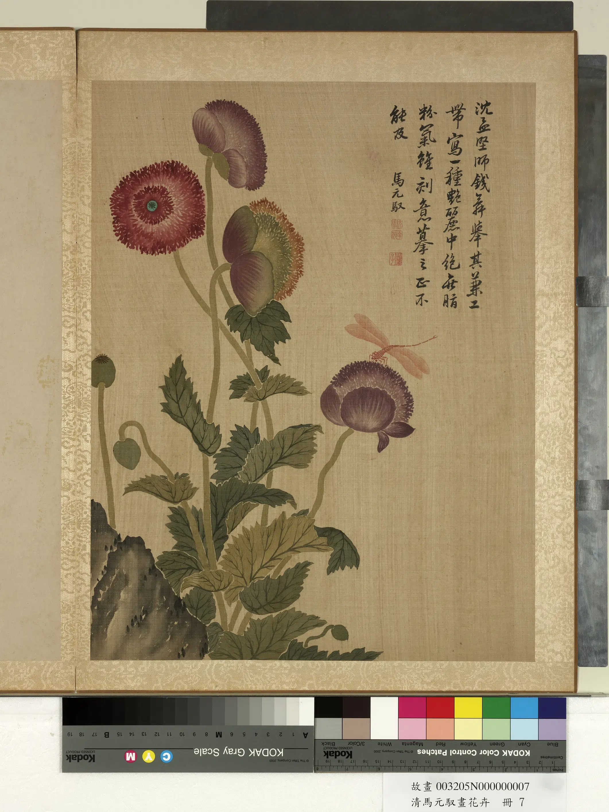 清朝【马元驭】《画花卉册》 第11张