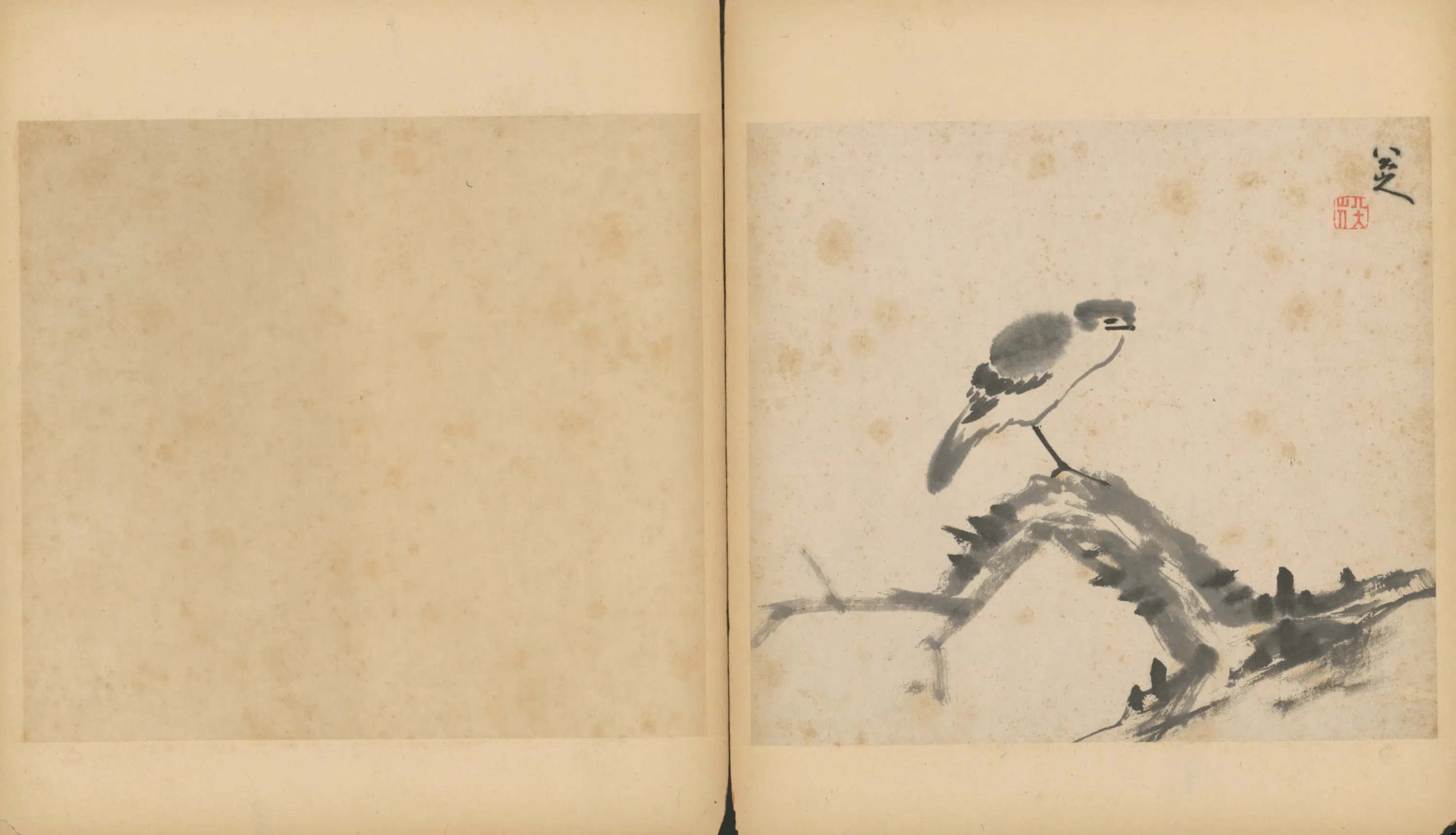 清代【朱耷】《杂画册（9开）》 第4张
