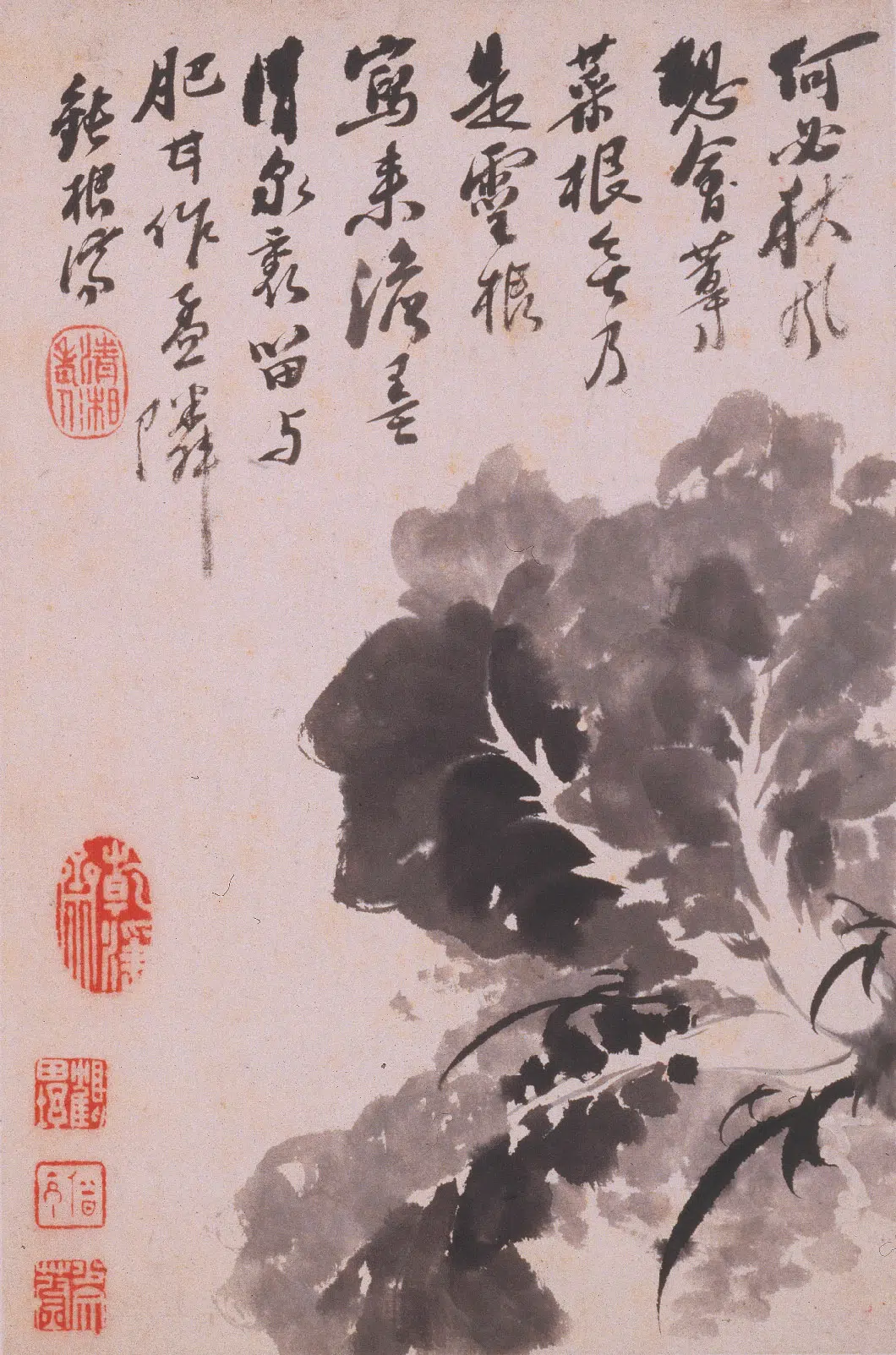 清代【石涛】《花卉册》 第6张 清代【石涛】《花卉册》 第6张