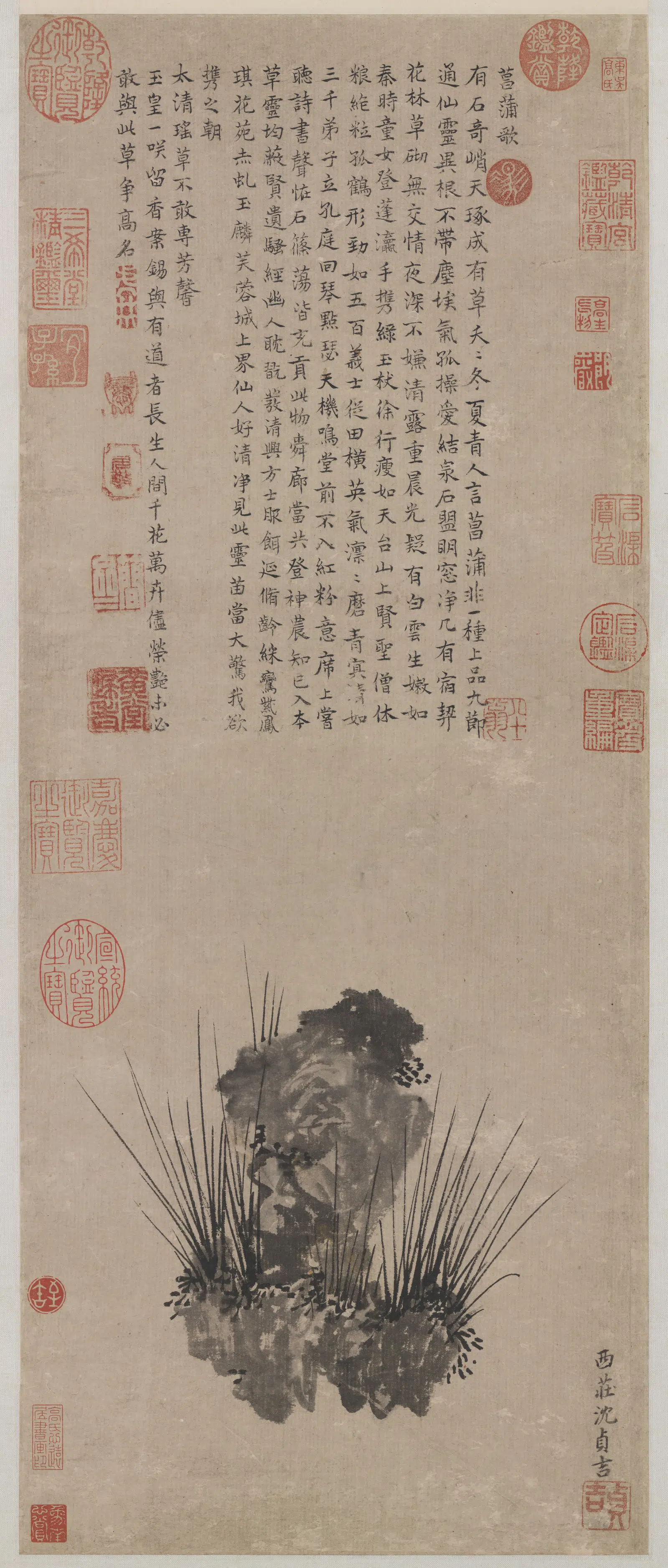 明朝【沈贞（沈贞吉）】《画菖蒲图轴》