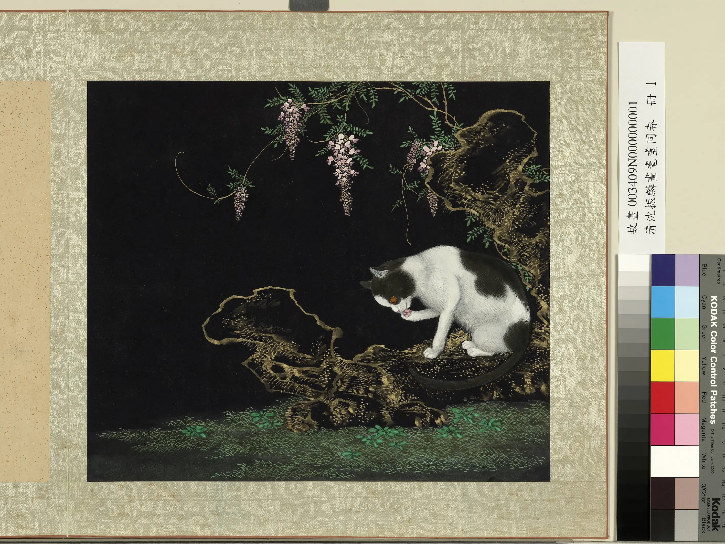 清朝【沈振麟】《画耄耋同春册-2》 第7张 清朝【沈振麟】《画耄耋同春册-2》 第7张