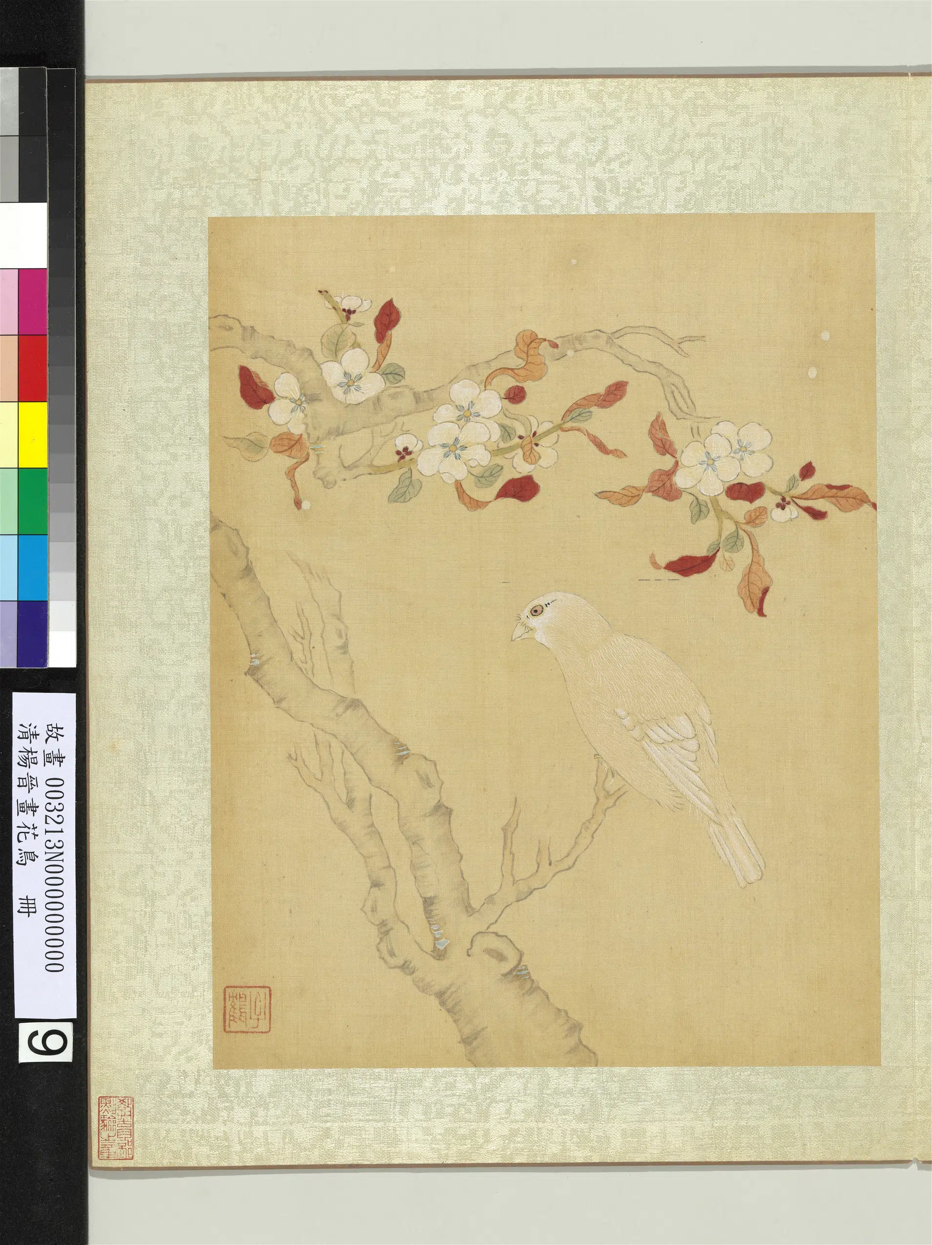 清代【杨晋】《画花鸟册》 第7张