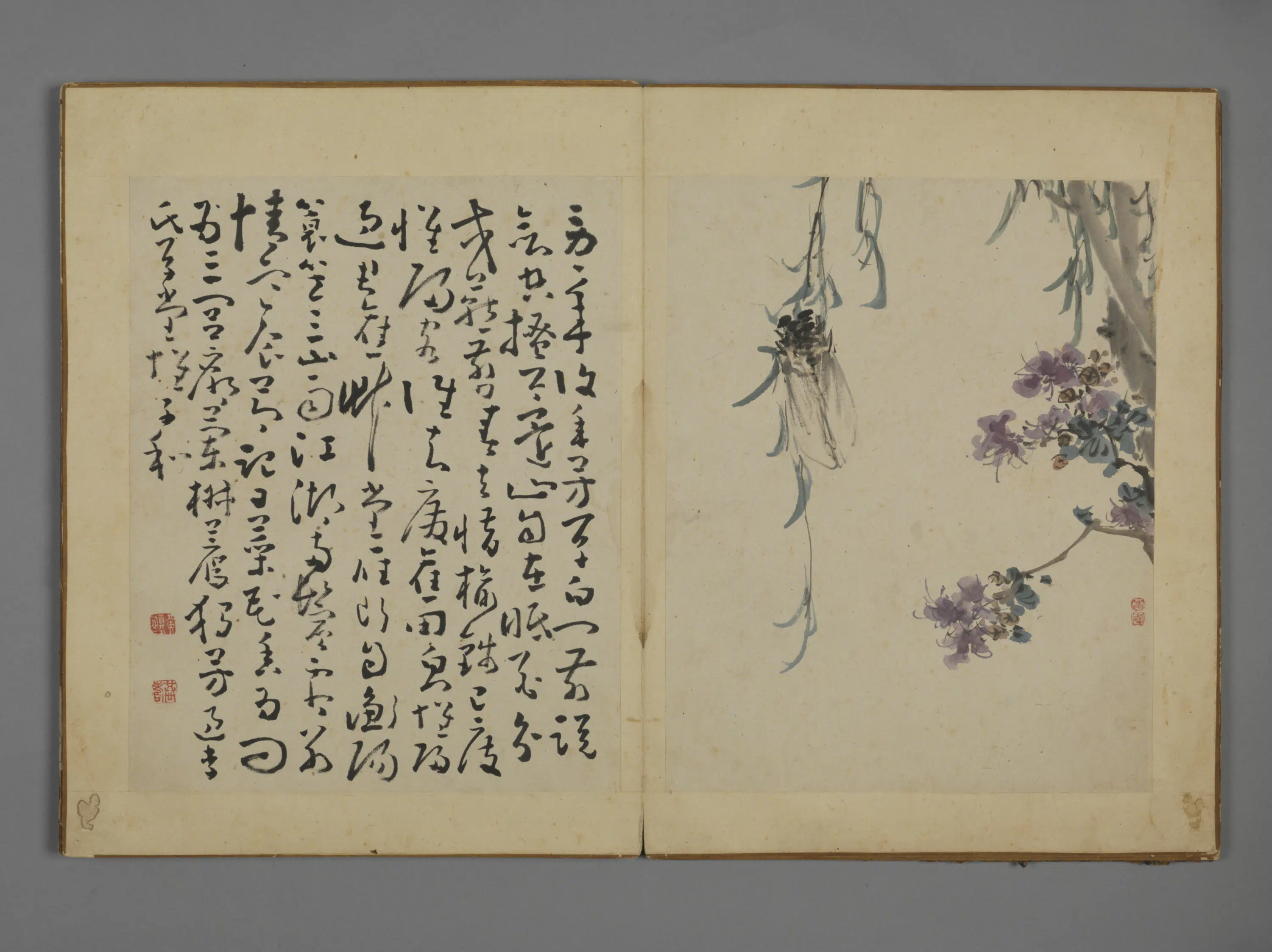 清代【黄慎】《花卉图册》 第2张