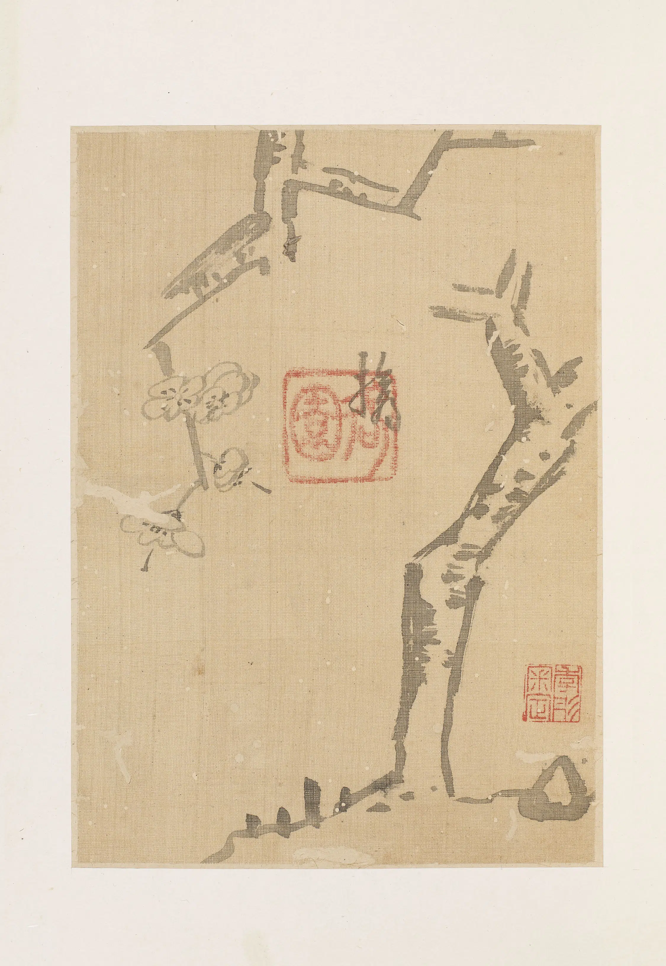 清代【朱耷】《花鸟册》