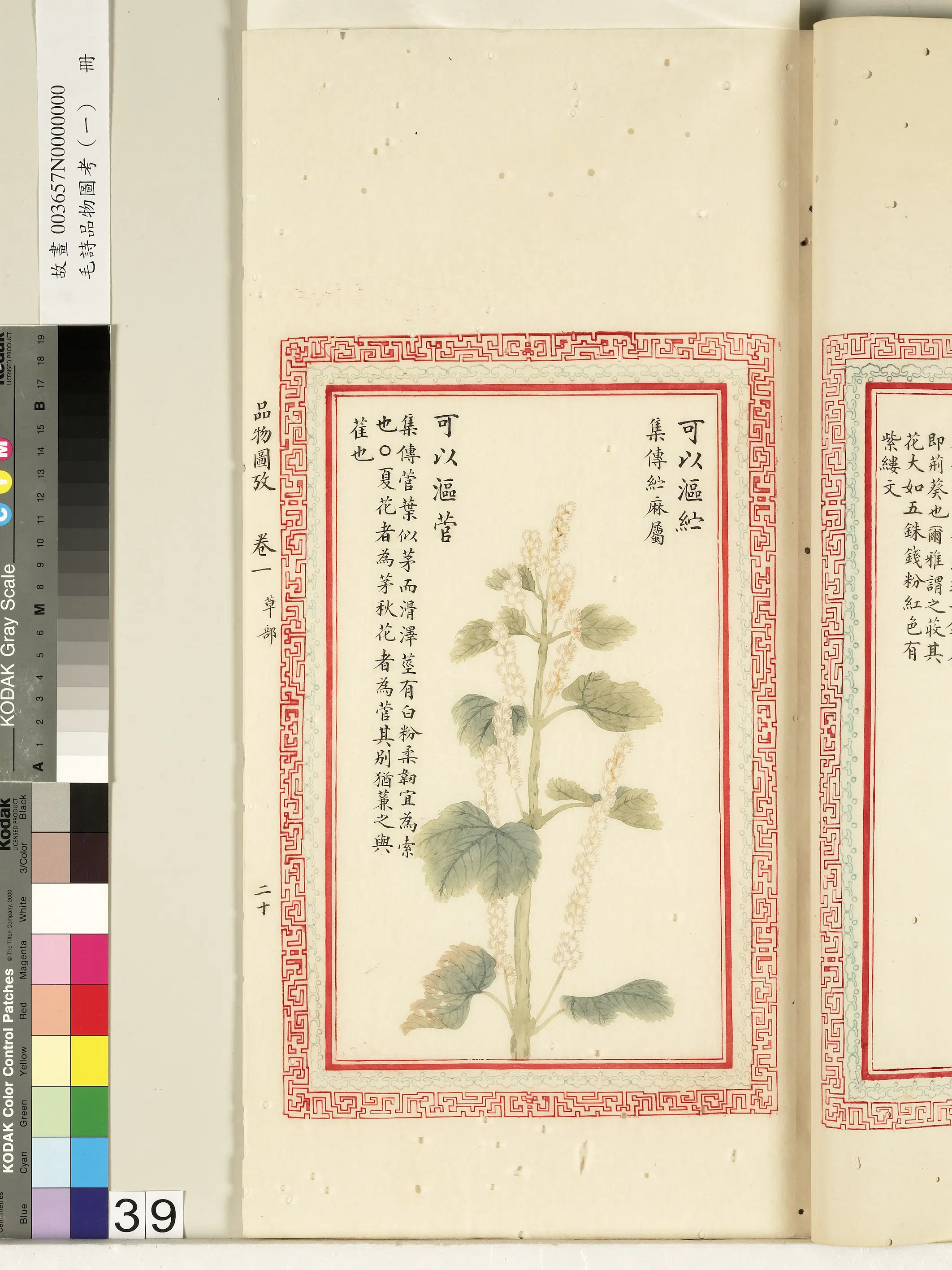 清朝【佚名】《毛诗品物图考（一）册-可以沤纻可以沤菅-2》
